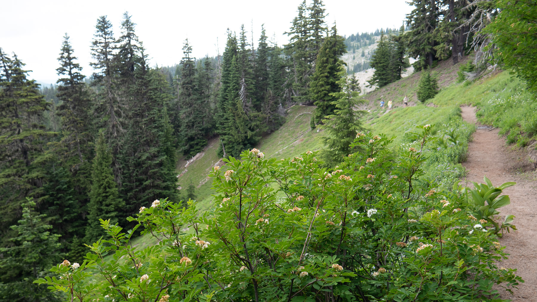 07-zigzaghike-13.jpg