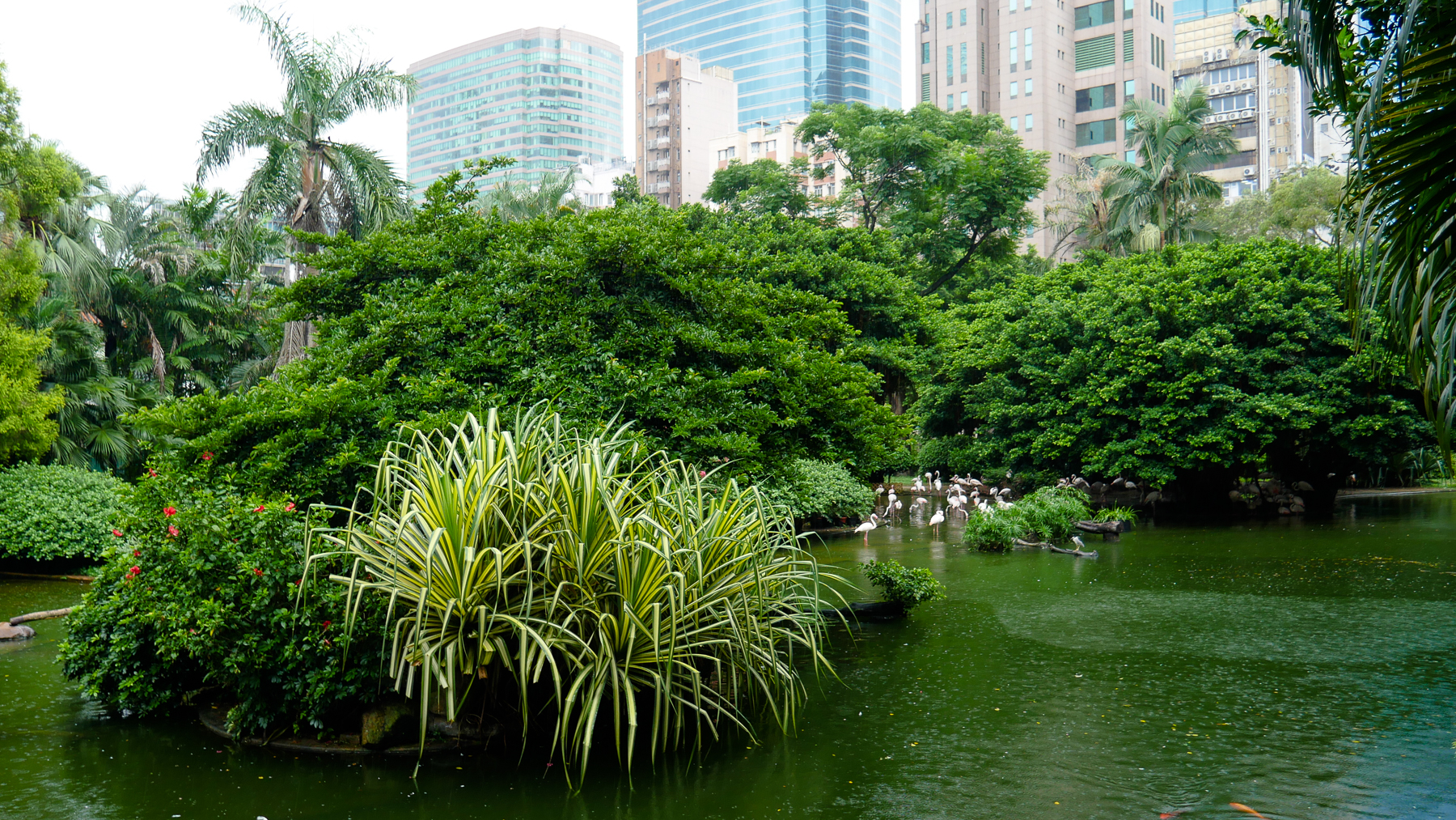 07-hongkong-46.jpg