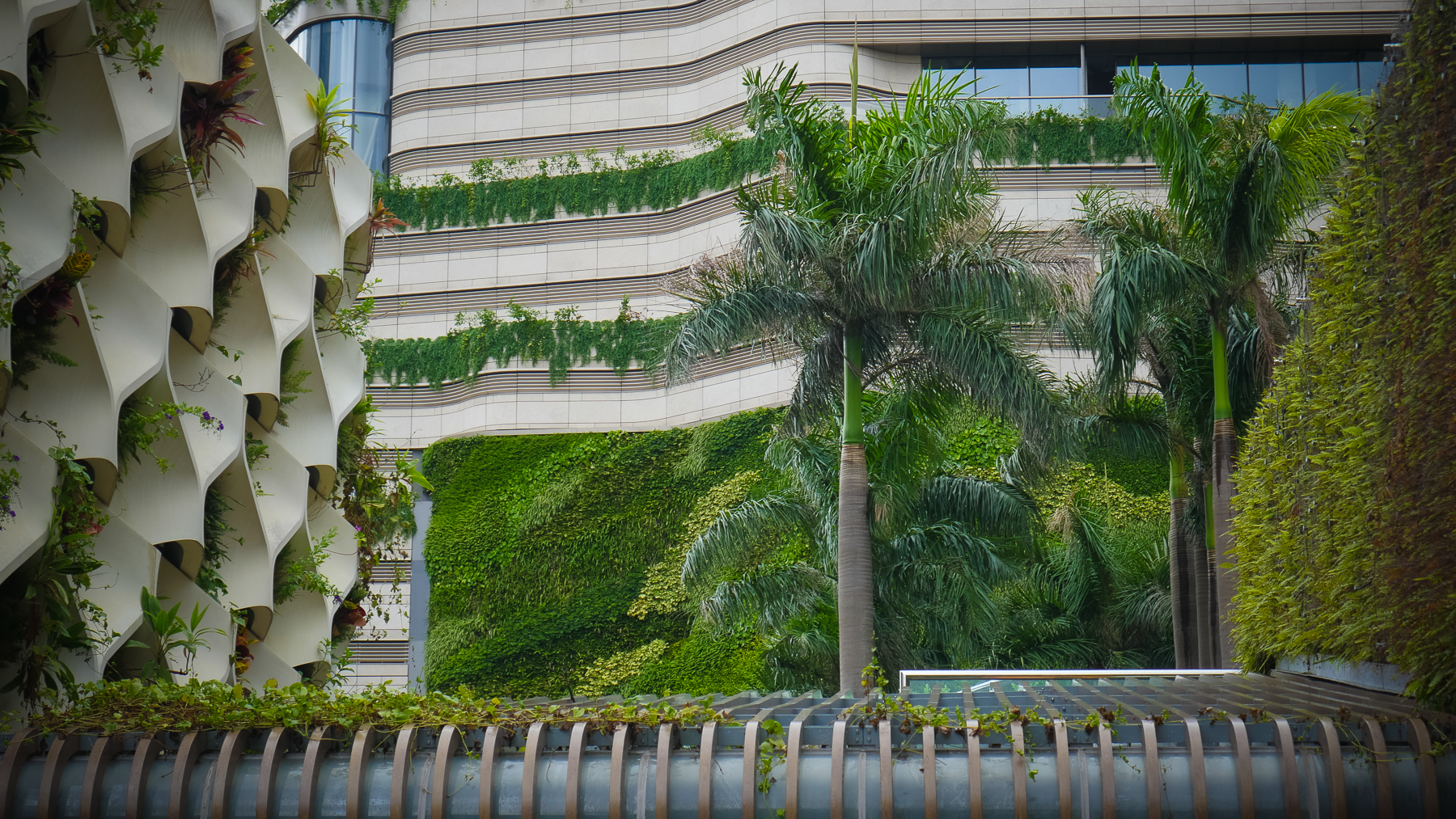 07-hongkong-22.jpg
