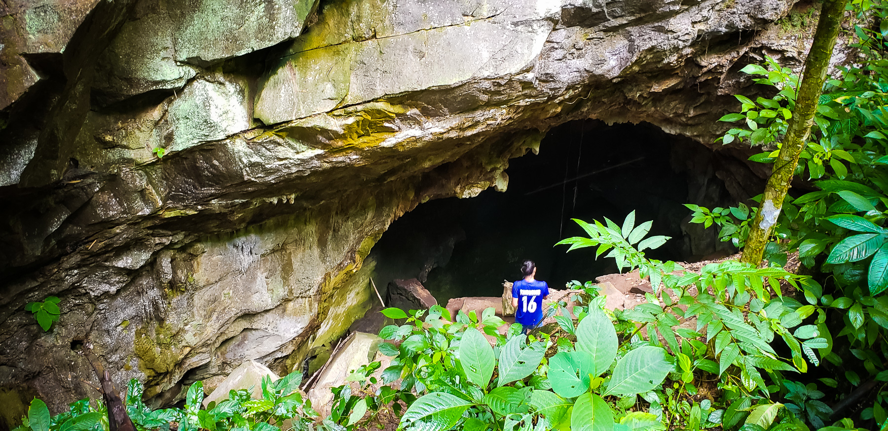 08-junglehike-s9-4.jpg