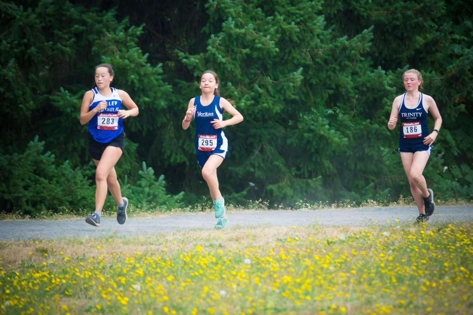 09-tualatininvite-112.jpg