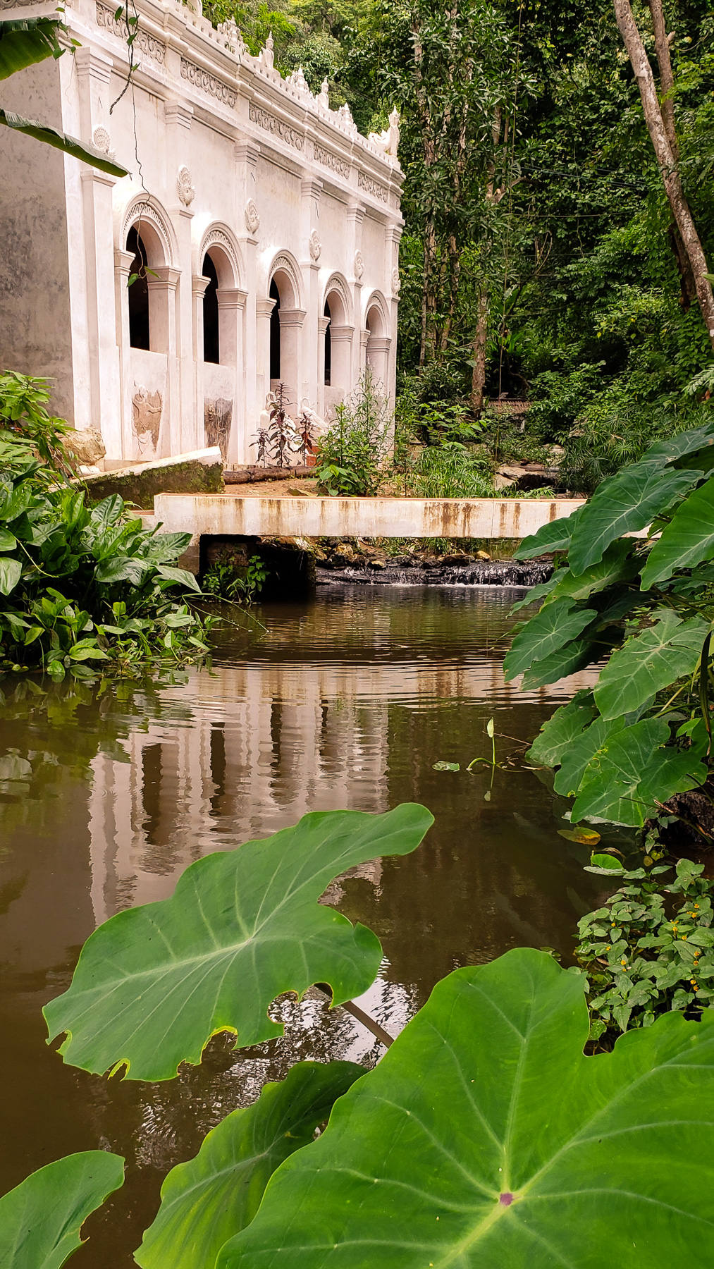 08-jungletemple-ride-10.jpg