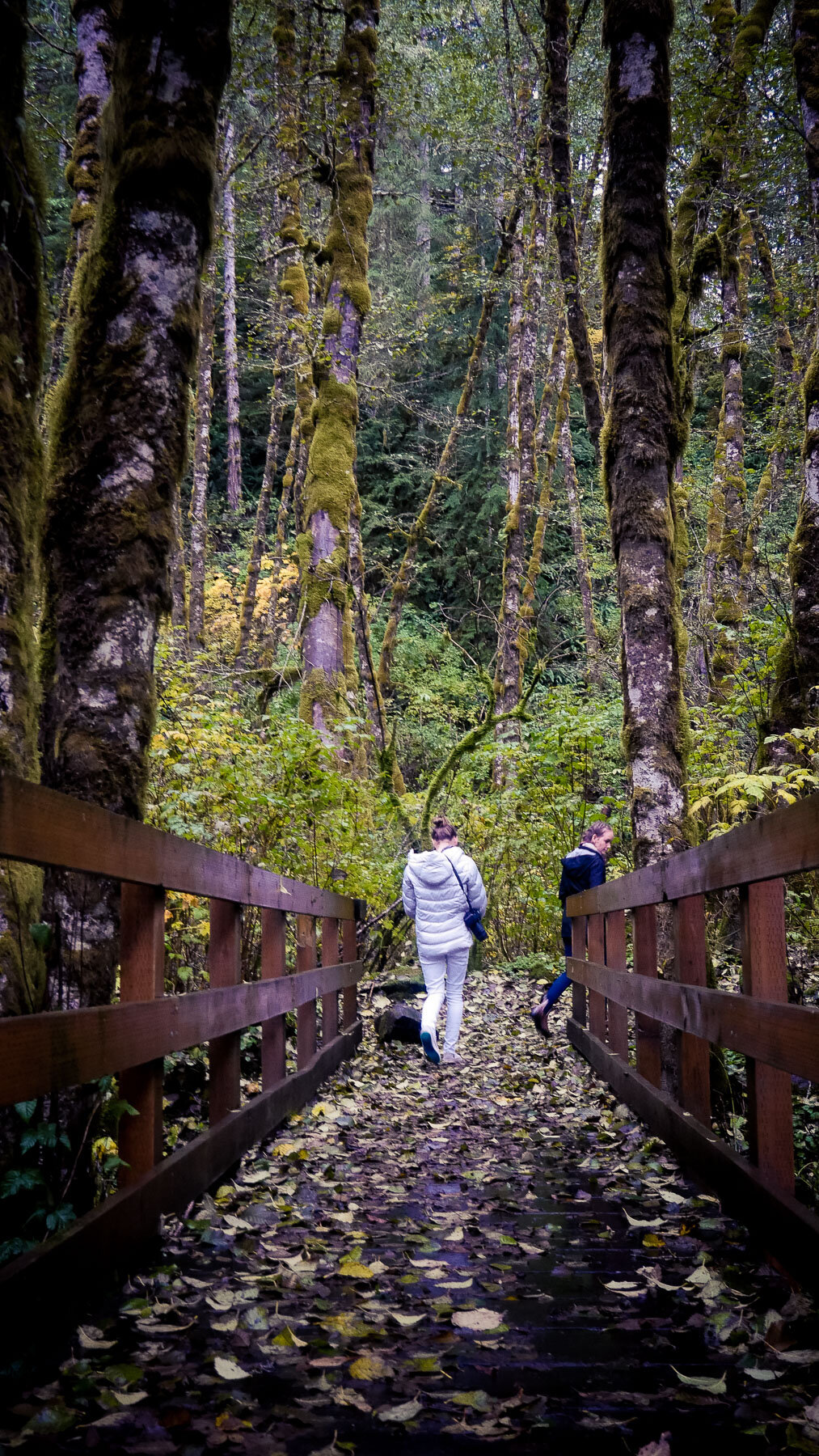 10-bloomlaketrail-1.jpg