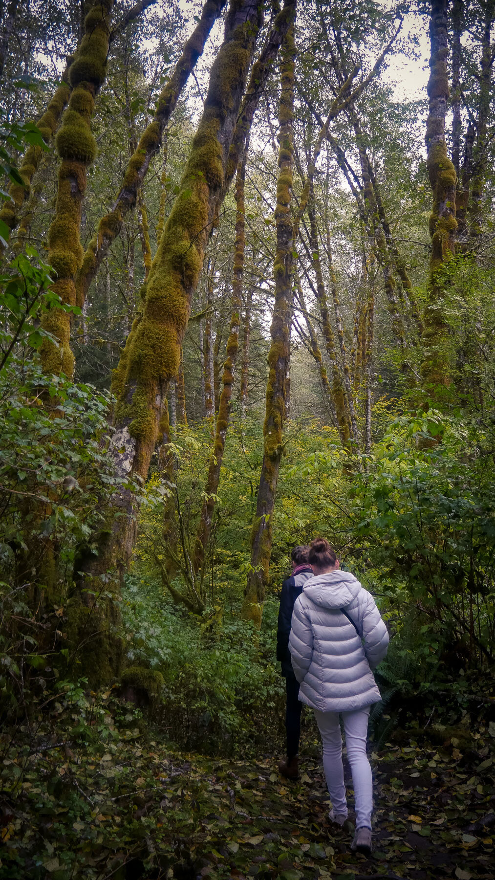 10-bloomlaketrail-3.jpg