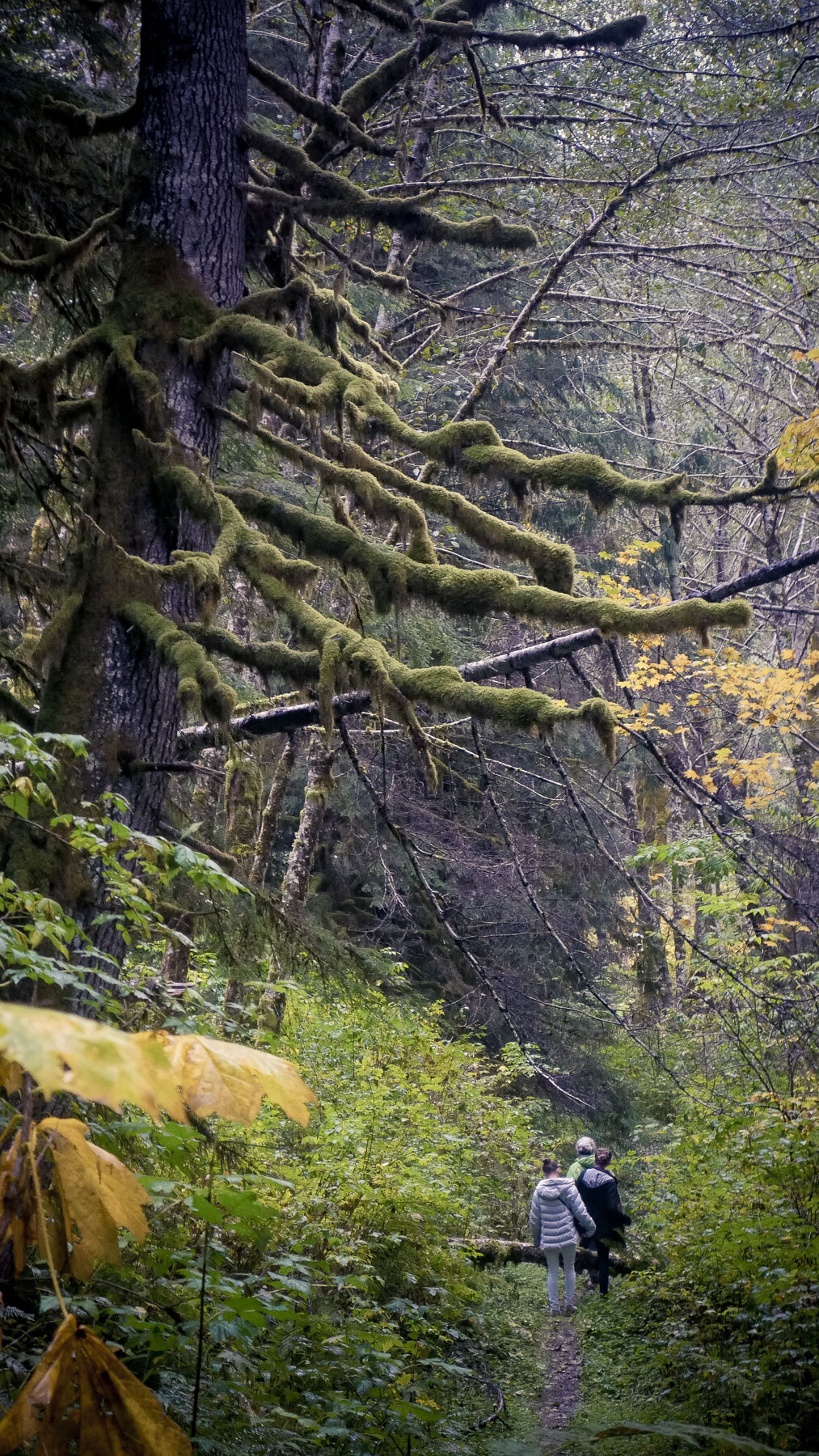 10-bloomlaketrail-5.jpg
