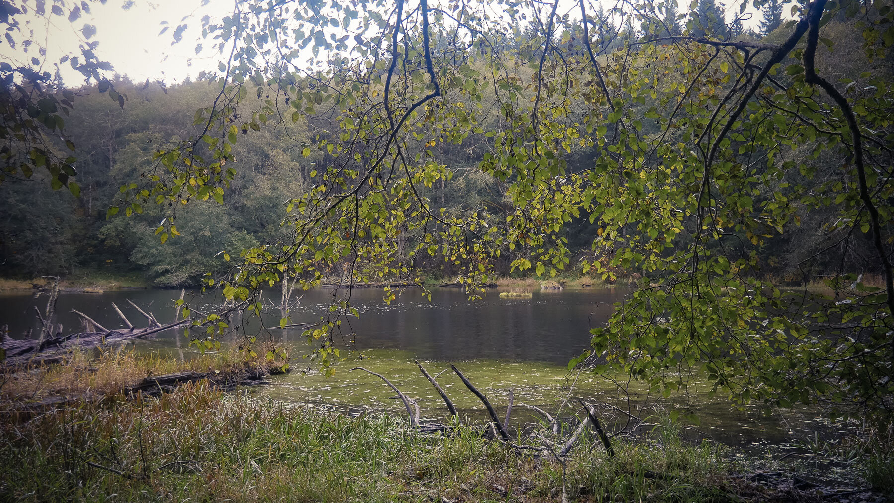 10-bloomlaketrail-6.jpg