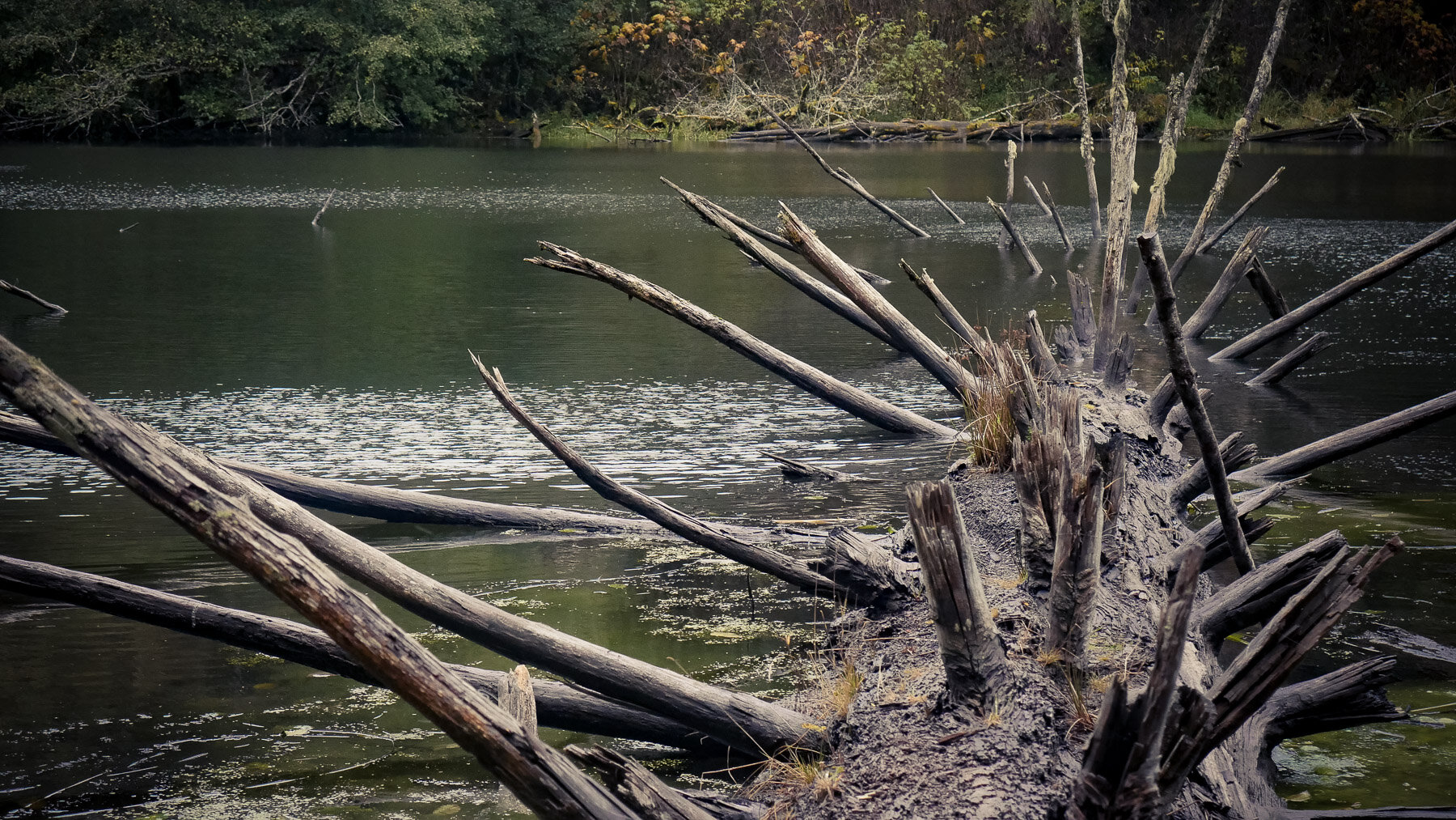 10-bloomlaketrail-7.jpg