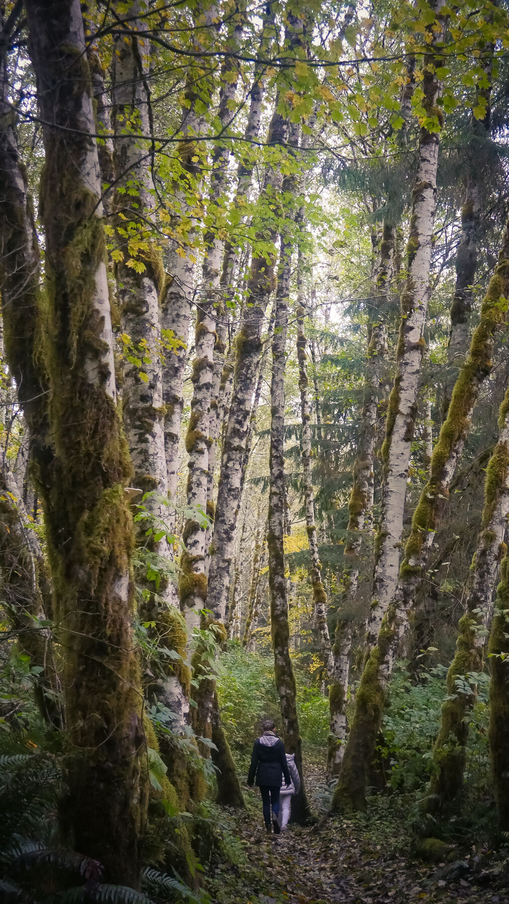10-bloomlaketrail-9.jpg