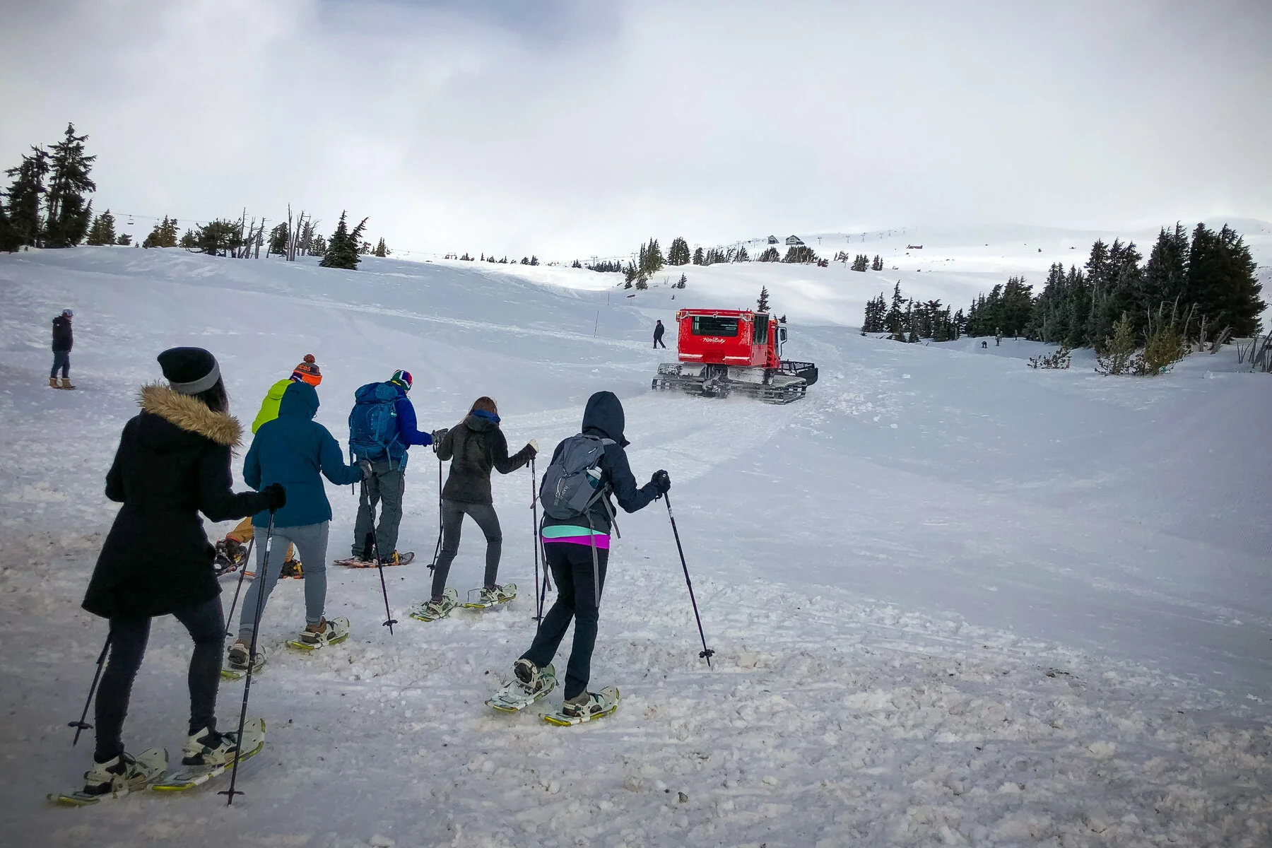Snowshoeing at Timberline Lodge — Cowley Visuals
