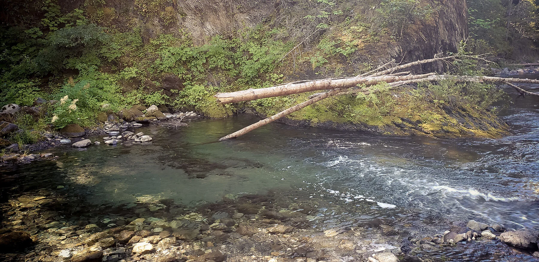 Six Rivers National Forest — Cowley Visuals