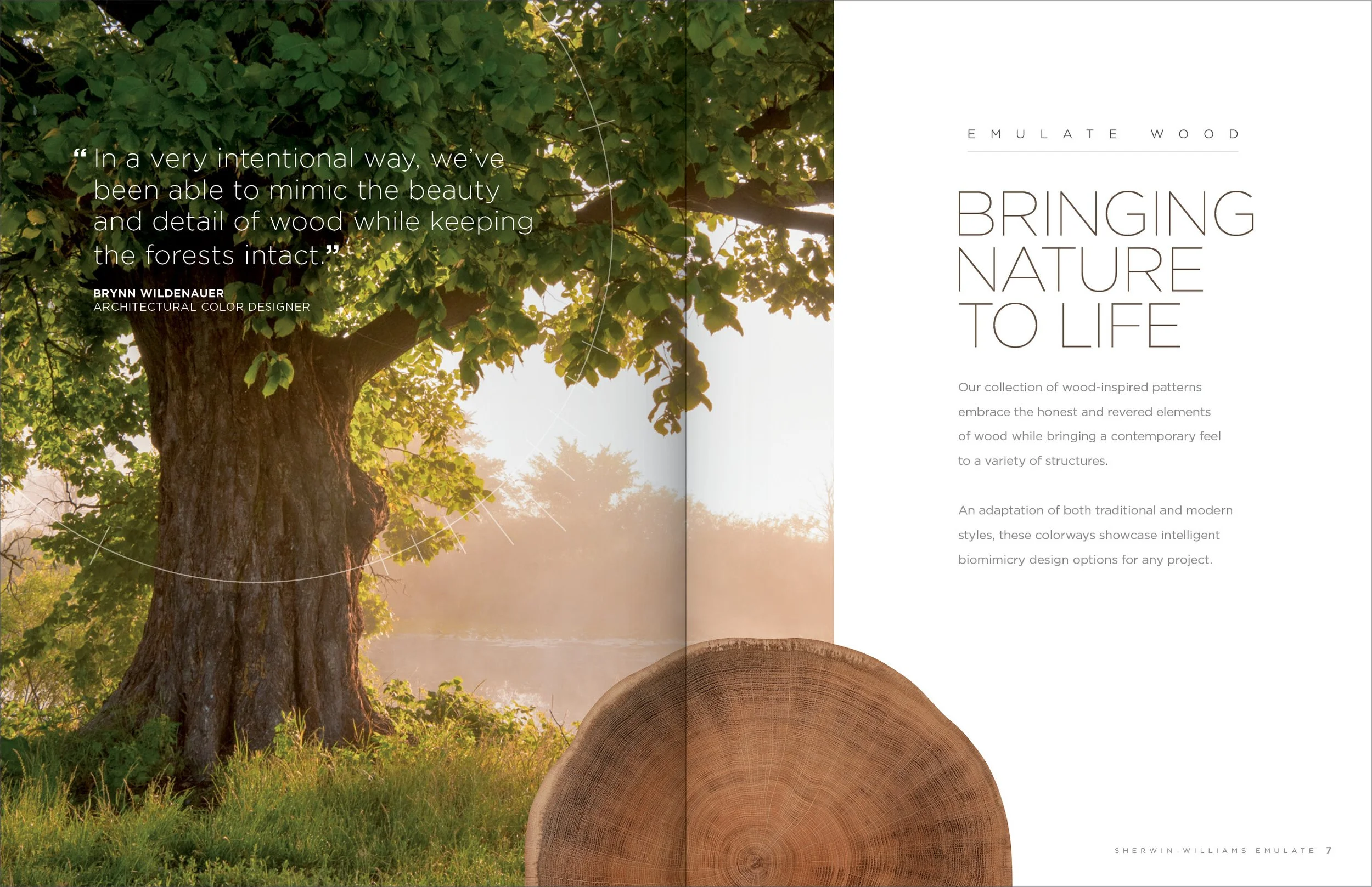 SW_Emulate_Brochure_Production_8_5x114.jpg