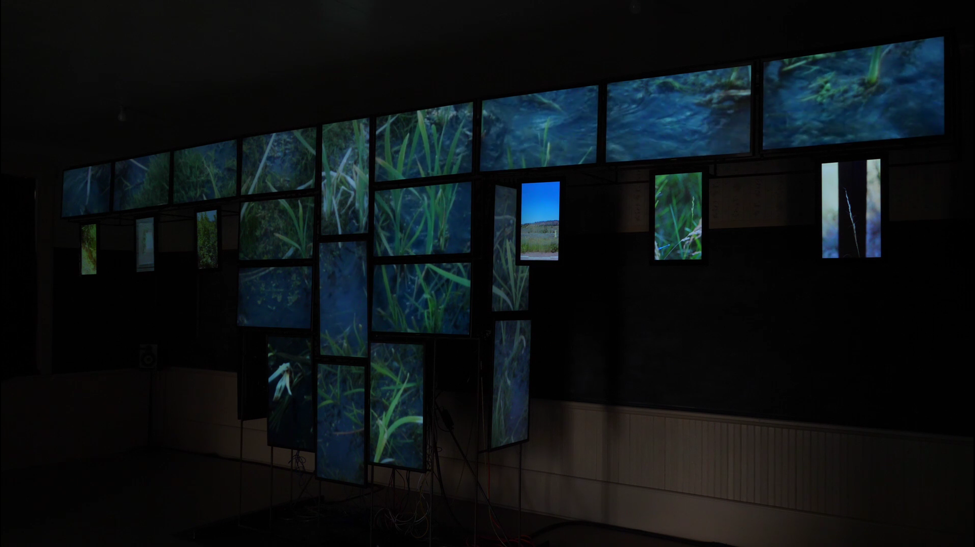 The video installation focused attention on the sight and sounds of place while confronting the colonization of the West.