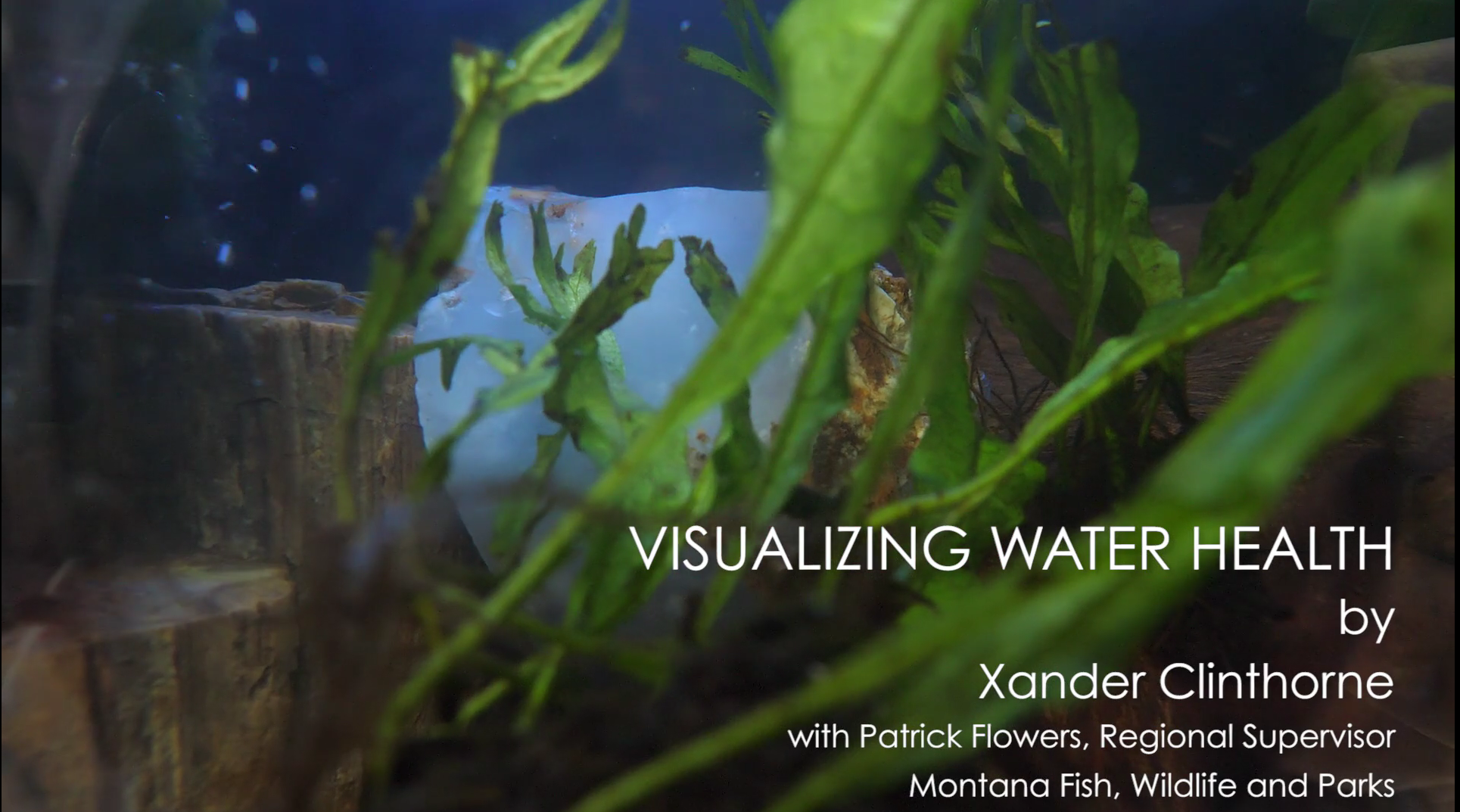 UPSTREAM_screen-shot-14.png