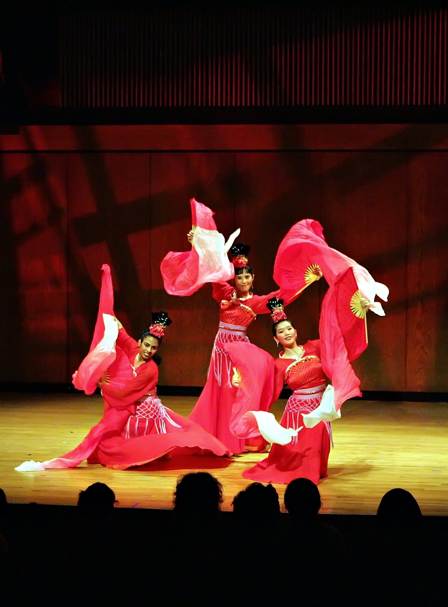 CAAN Chinese Dance photo.jpg