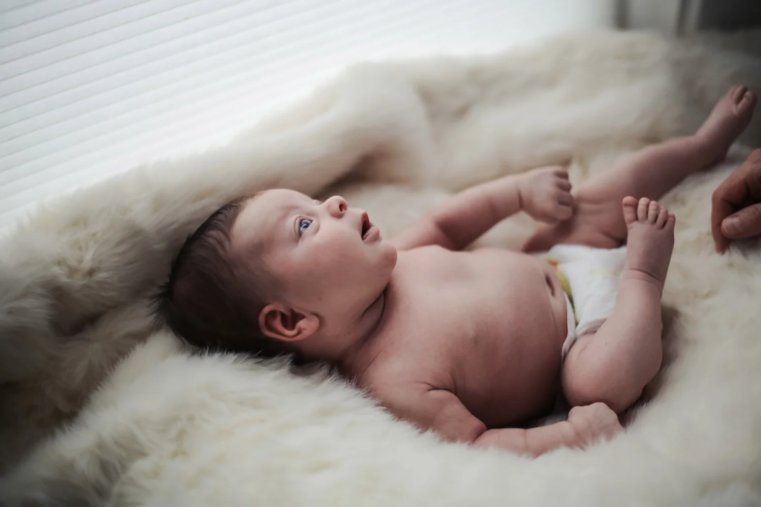 boston-best-newborn-photographer-ditl-photo-45.jpg