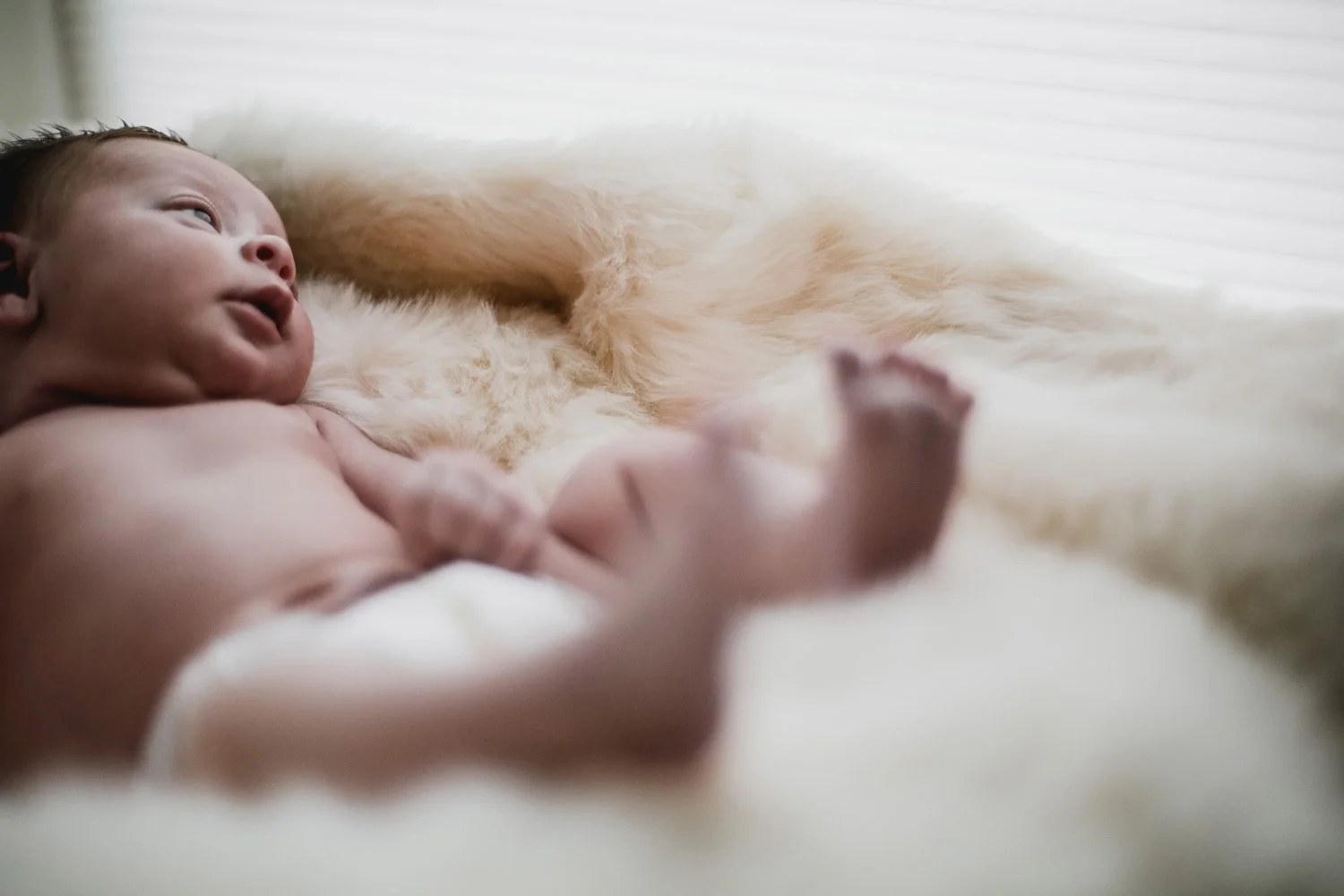 boston-best-newborn-photographer-ditl-photo-77.jpg