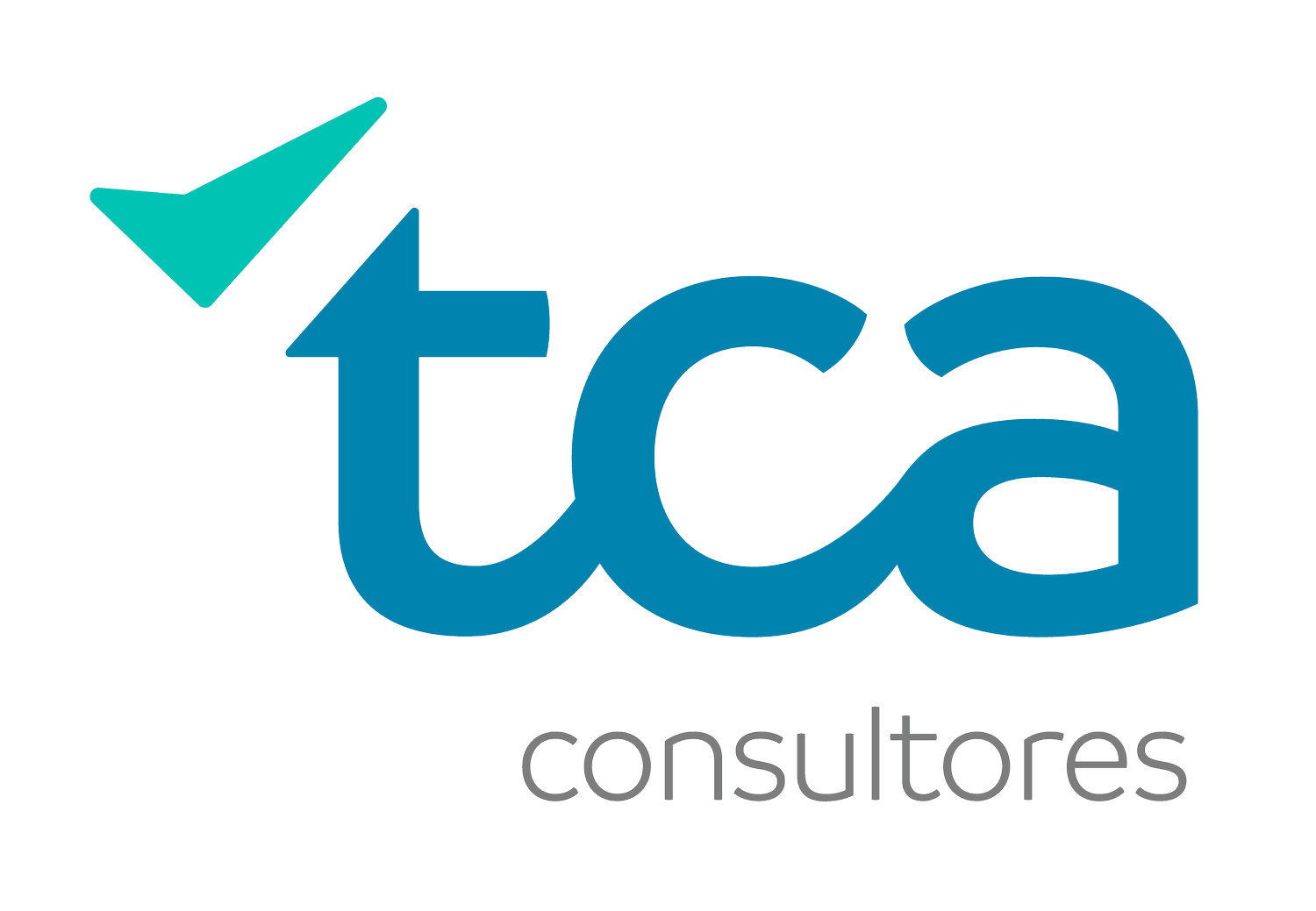 tca-consultores