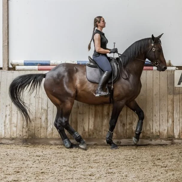 Cliniques Stéphanie