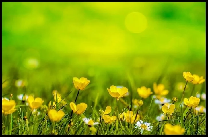 About Doobie brothers and ankle biters