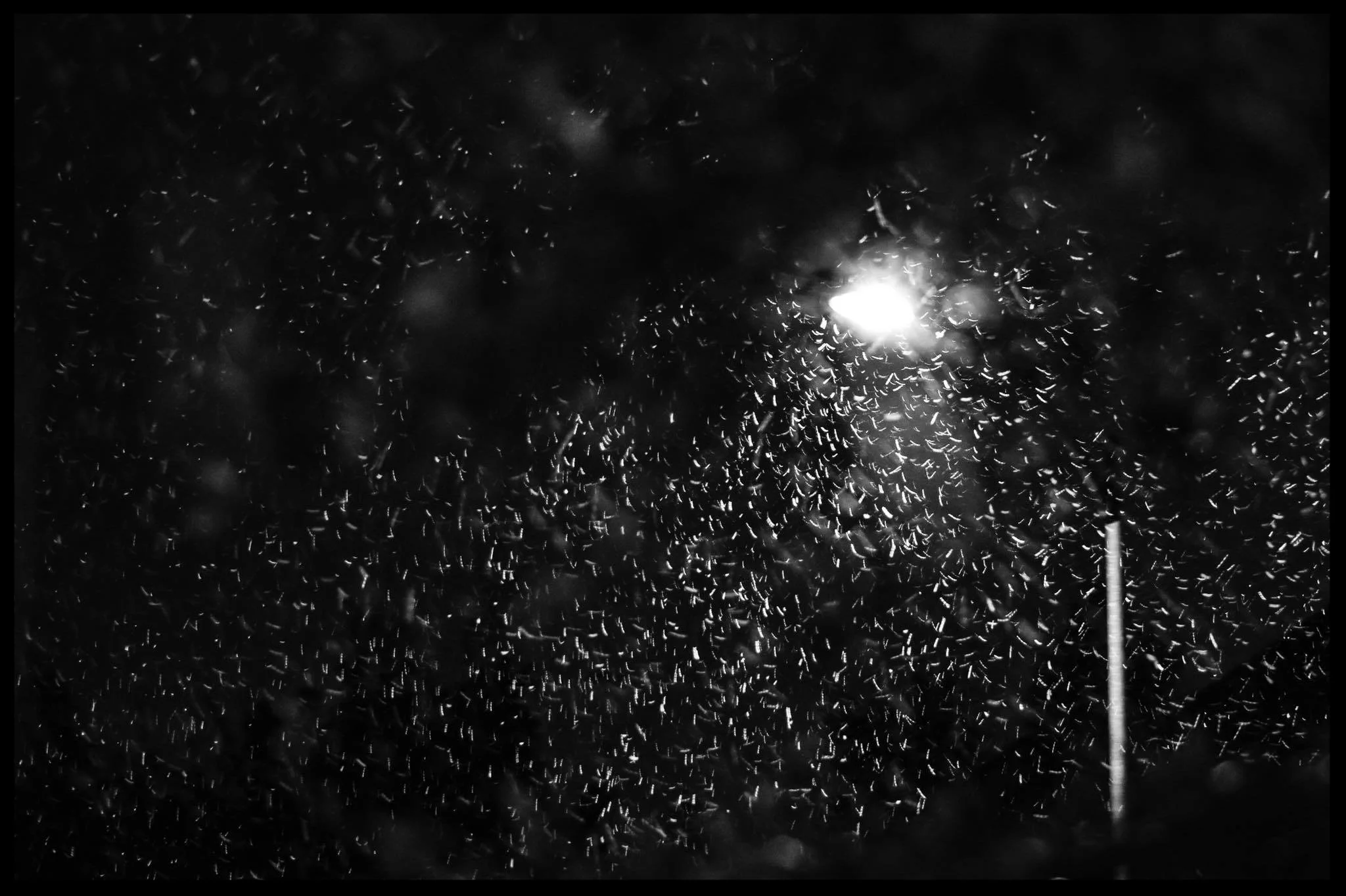 In our darkest hour…