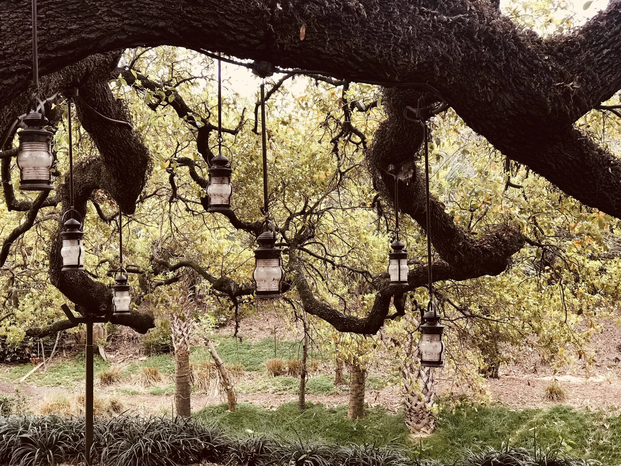 Of life’s precious lessons