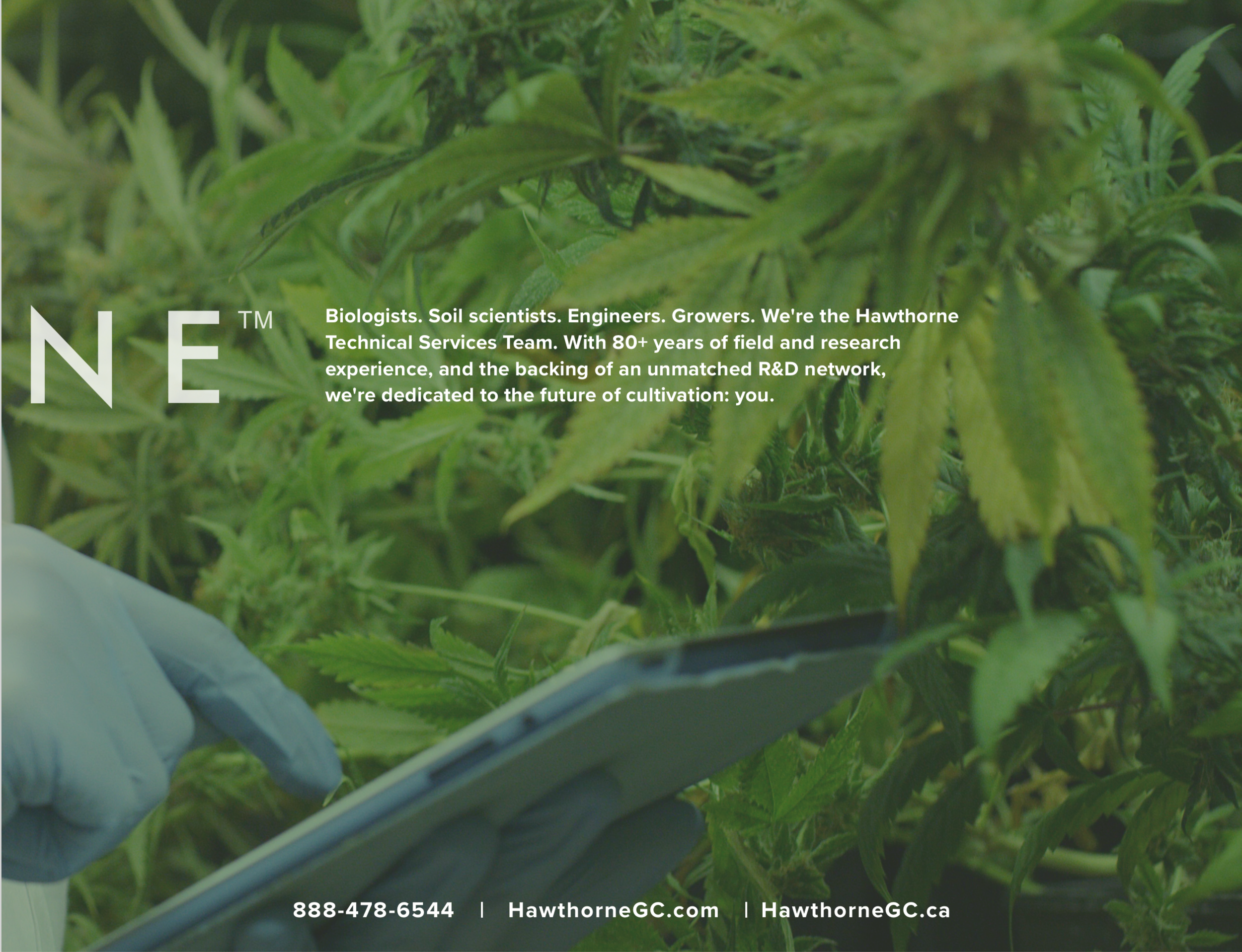 Screen Shot 2019-09-10 at 7.49.42 PM.png