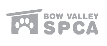 Bow Valley SPCA