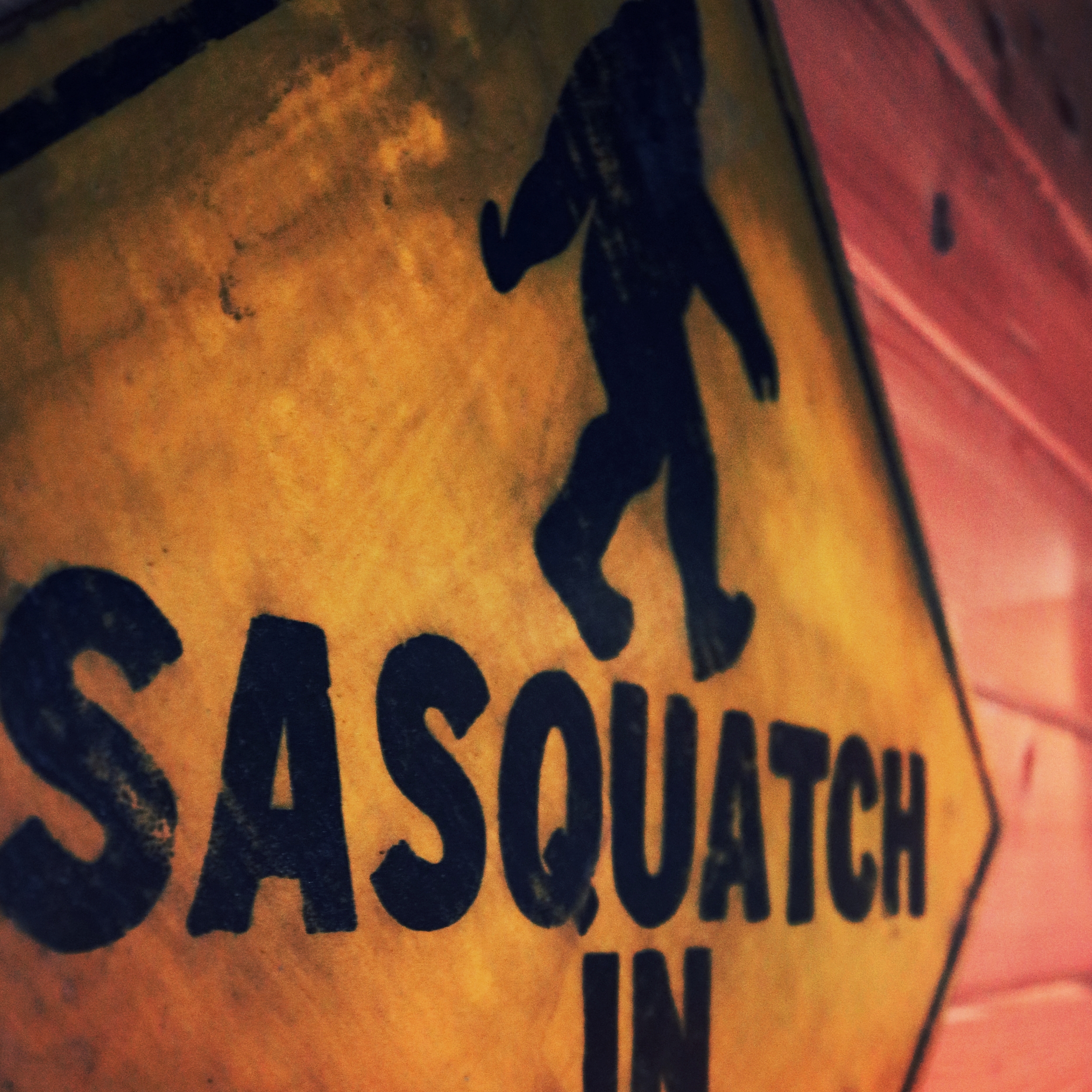Dancing sasquatch banff's best nightclub