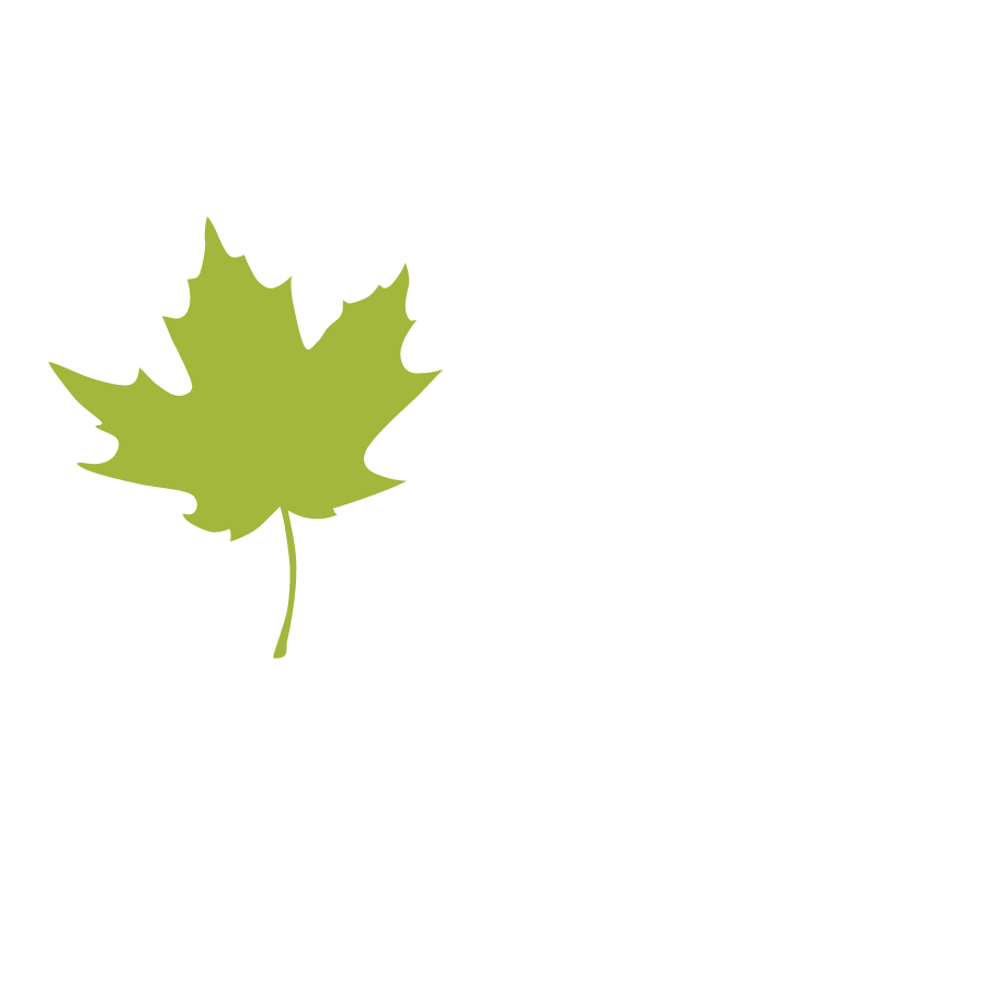 Maple Leaf Leaves 1.png