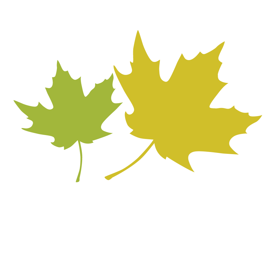 Maple Leaf Leaves 2.png