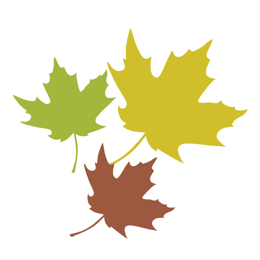 Maple Leaf Leaves 3.png