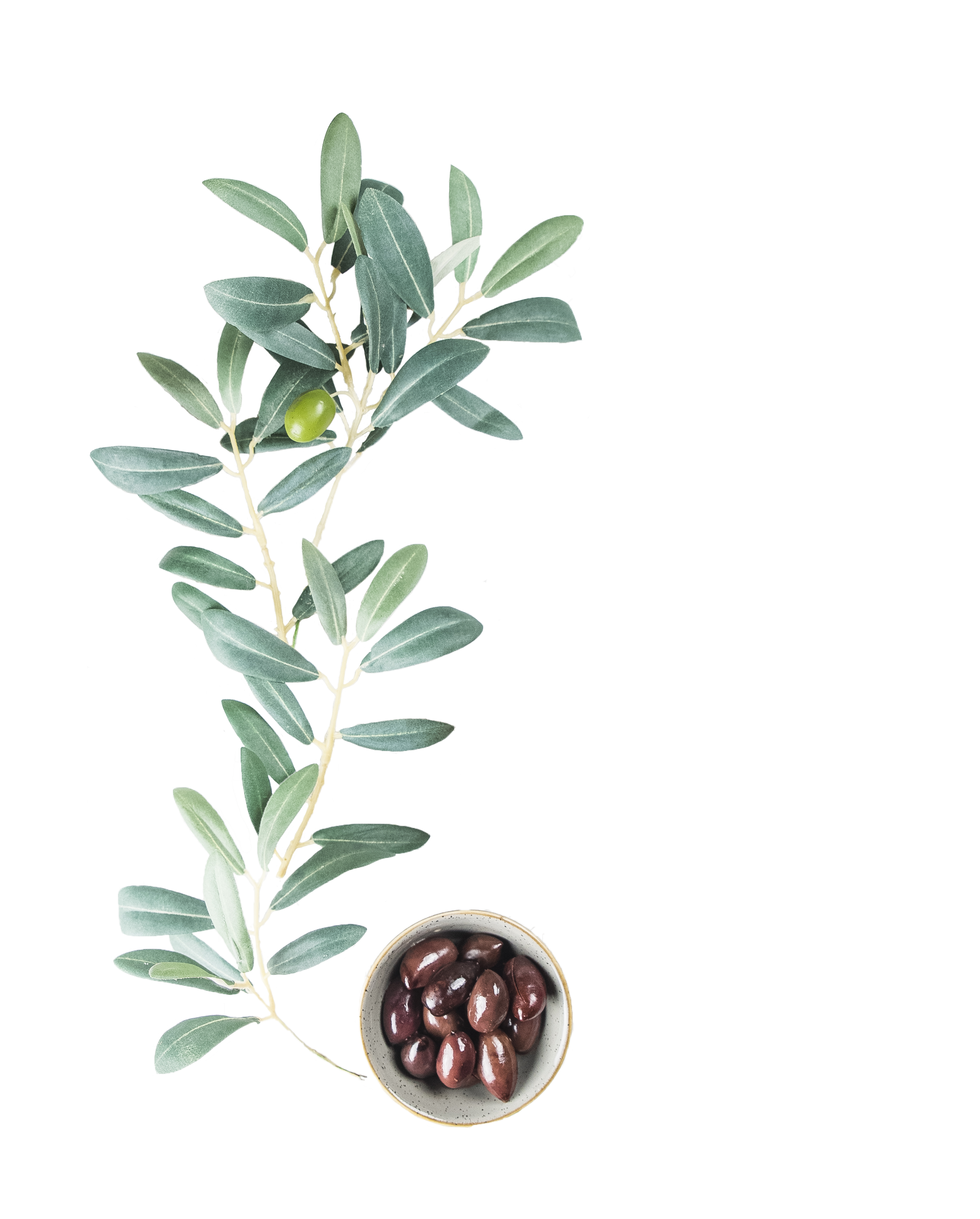 cutout olives 1.png