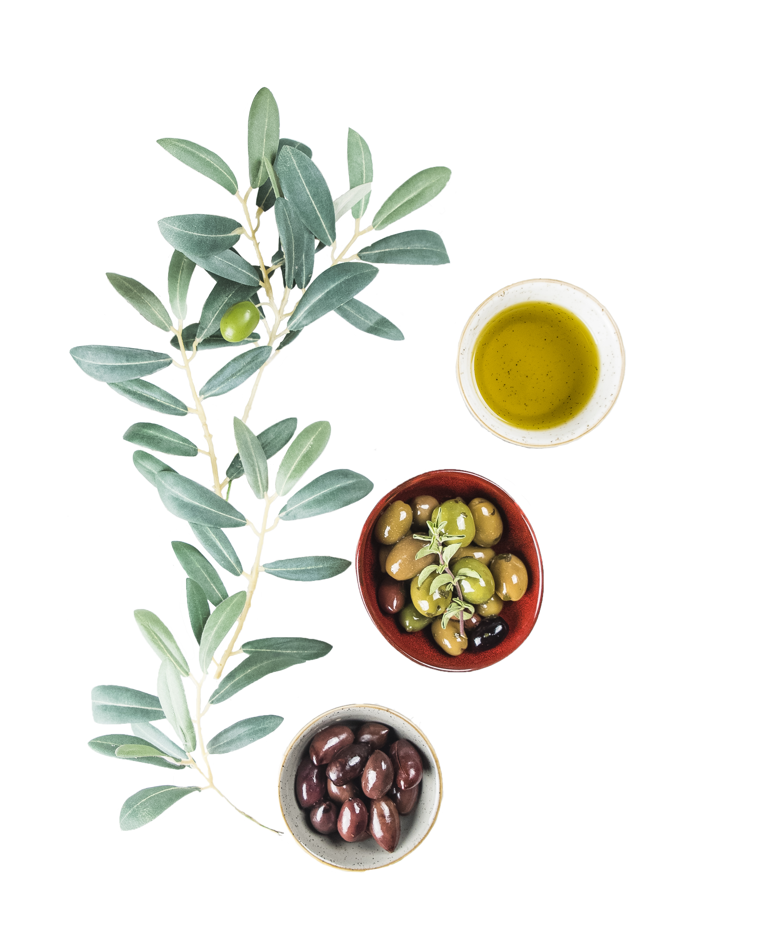 cutout olives 4.png