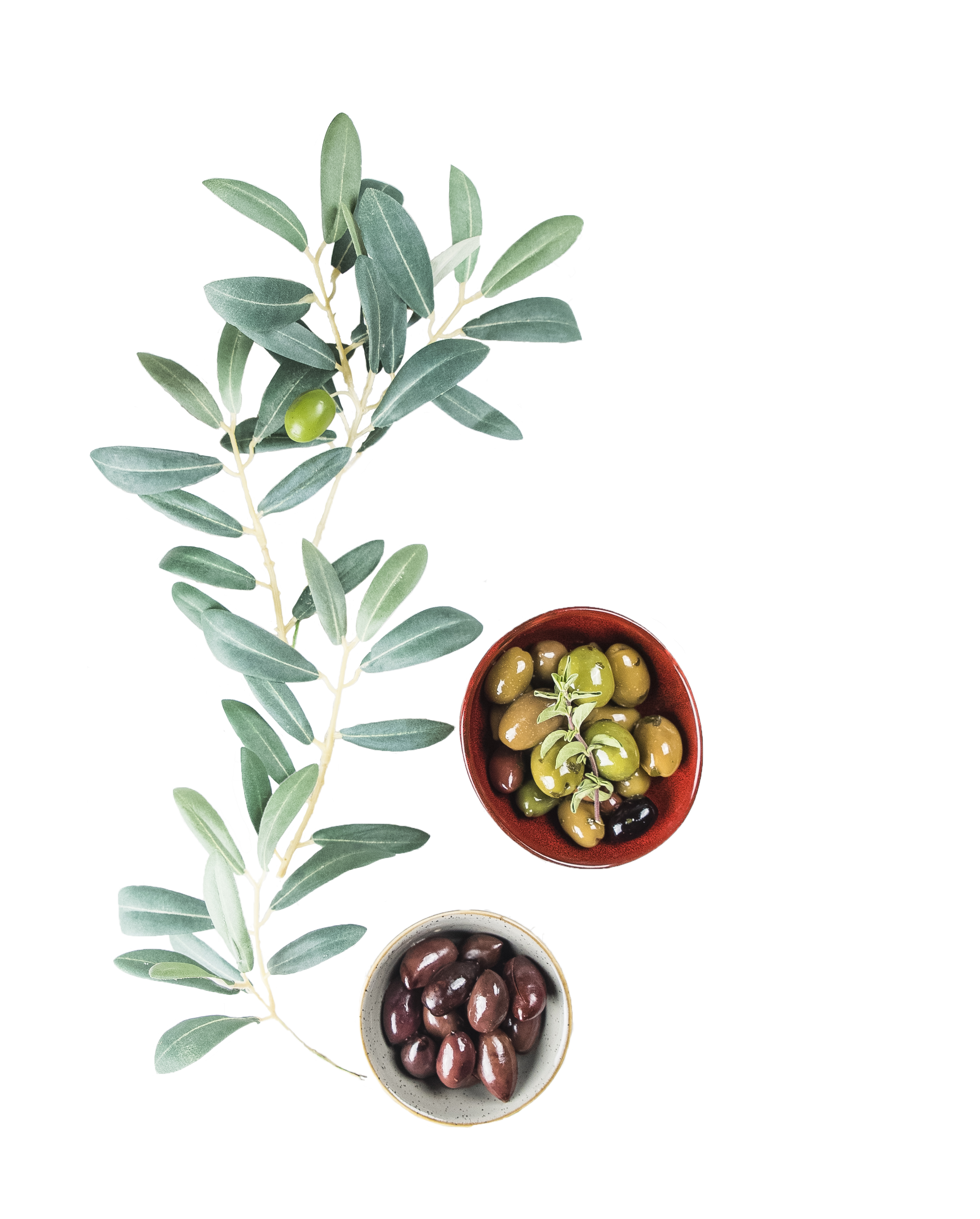 cutout olives 3.png