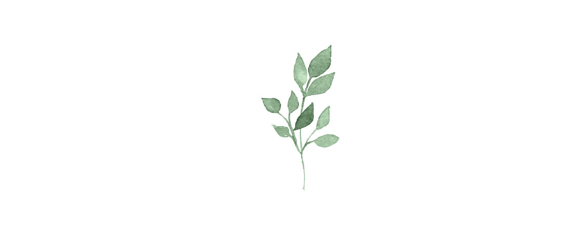 BALKAN leaves events web icon.png