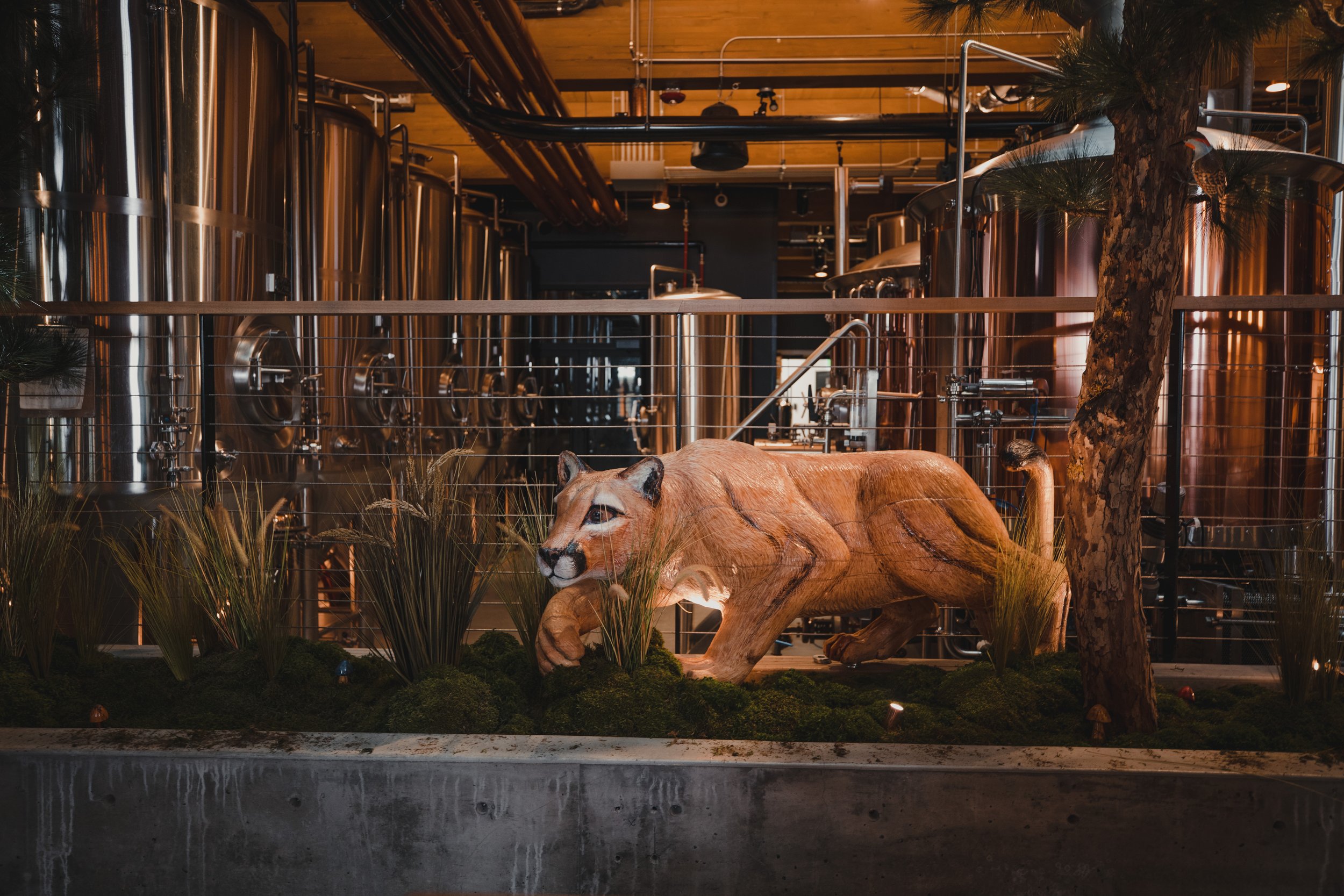 Cougar Doug guards the Brewery