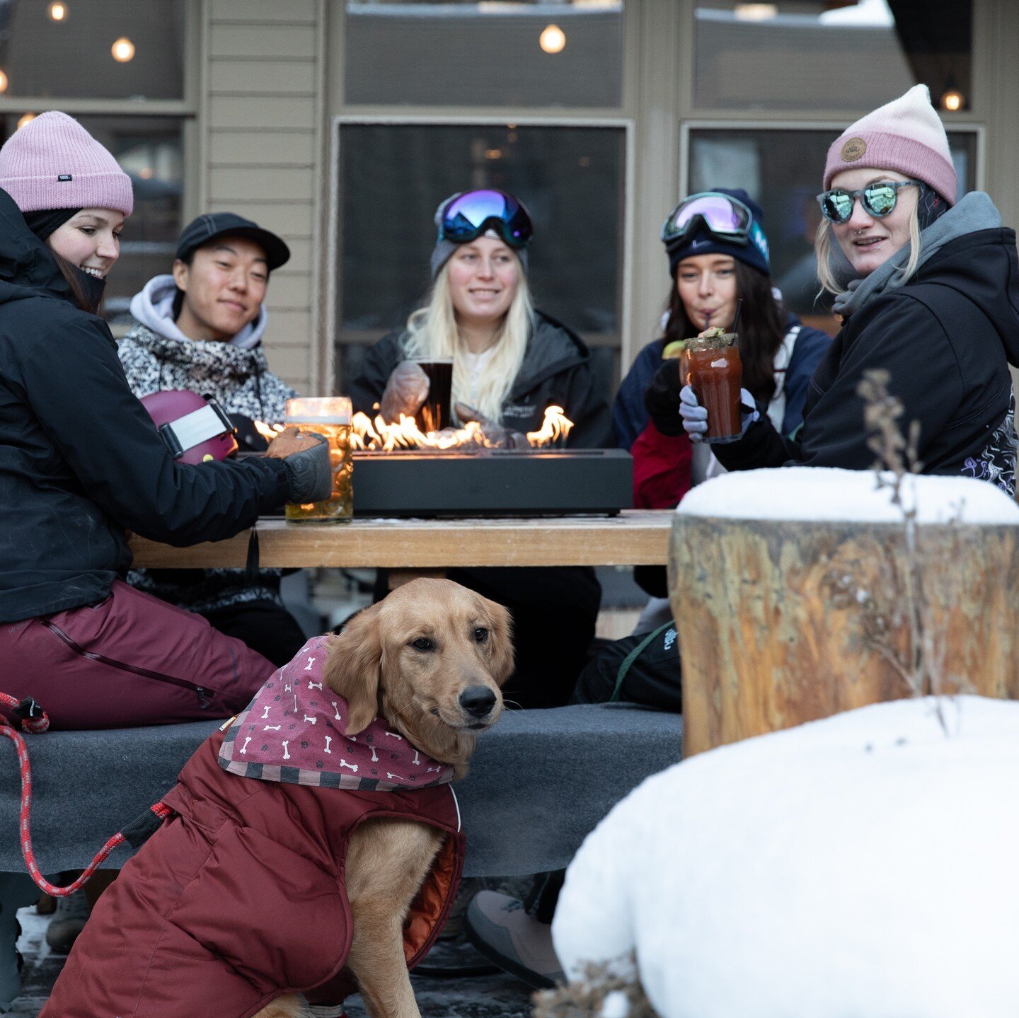 When your humans bring you to the patio Pizza party. 

#bearstreettavern #banffpizza #patio #winterpatio #dogpatio #banff #pupsonpatios