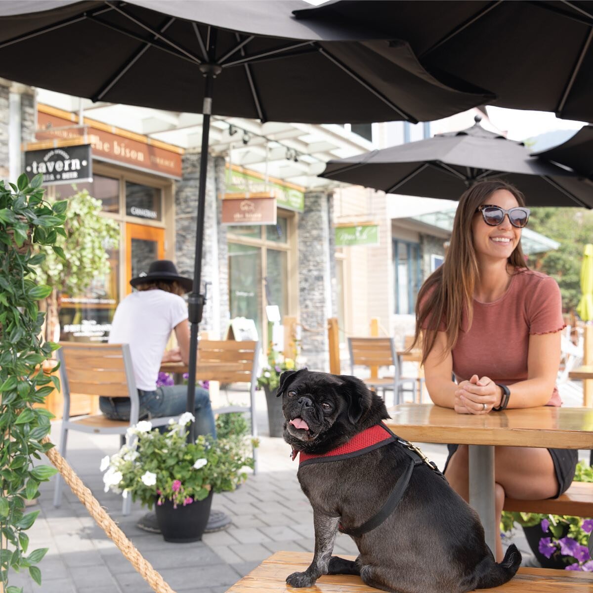 Join Wayne the pug on our sunny patios this weekend, and bring your best furry friend!

We&rsquo;ve got an extensive local craft beer selection to beat the heat, ridiculously good pizza and a special dog menu for Fido. 

#tavern #banff #patio #banffp