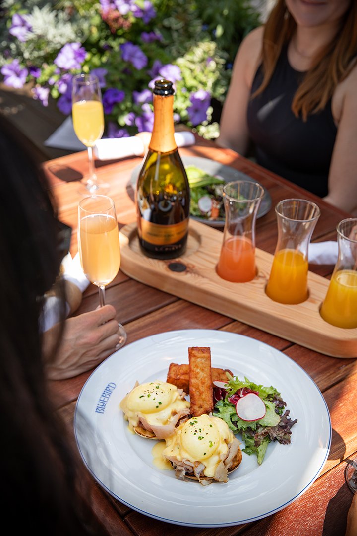  Bluebird Brunch Patio Mimosa Benny 