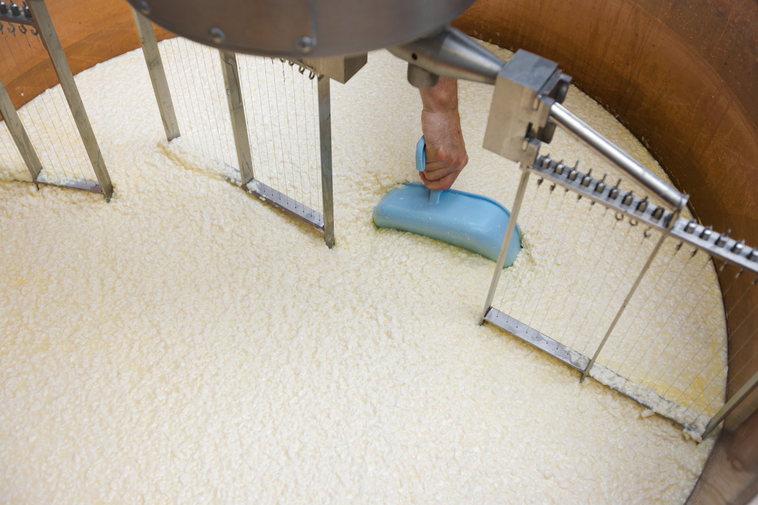 Cutting the Curd