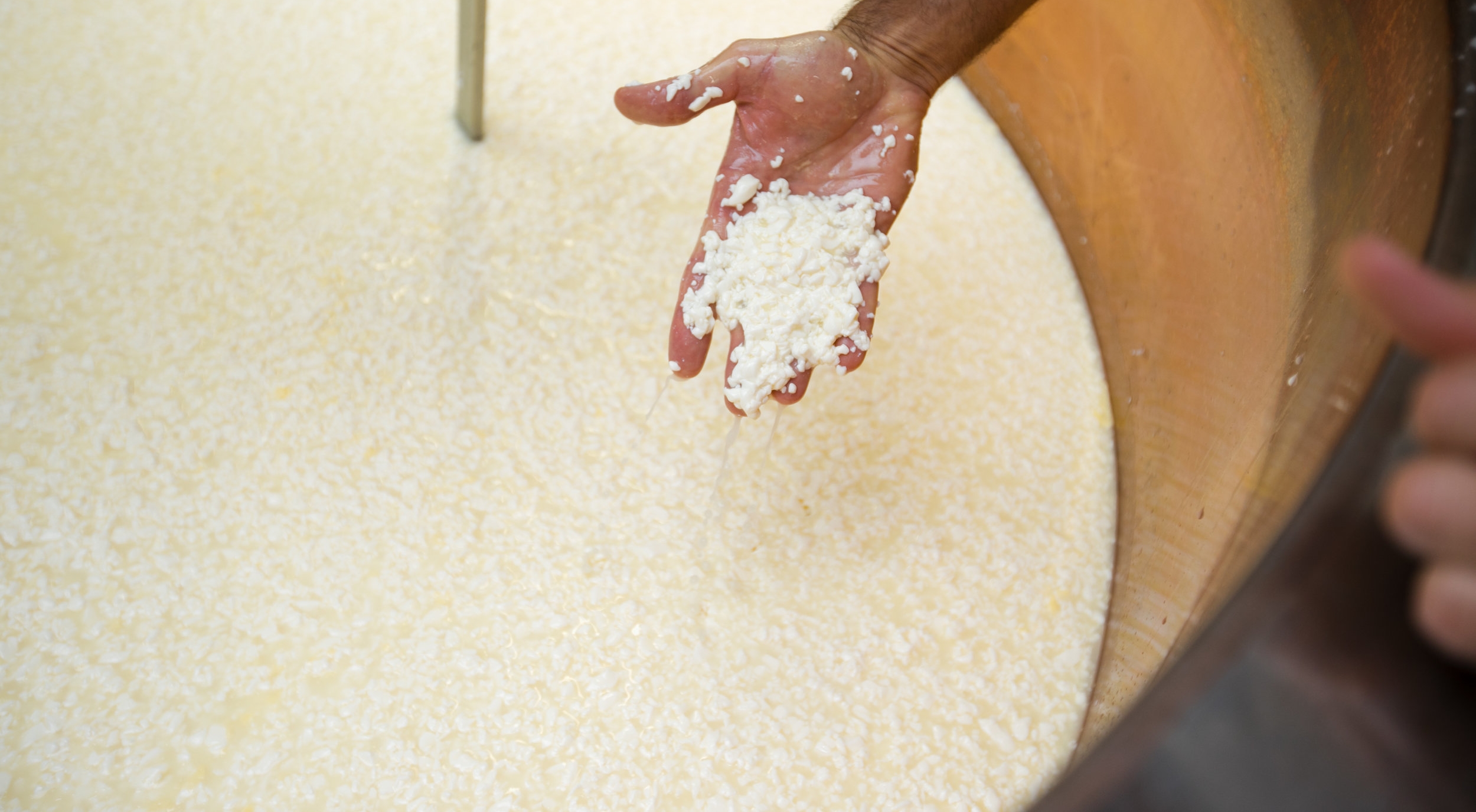 Cooking the Curd