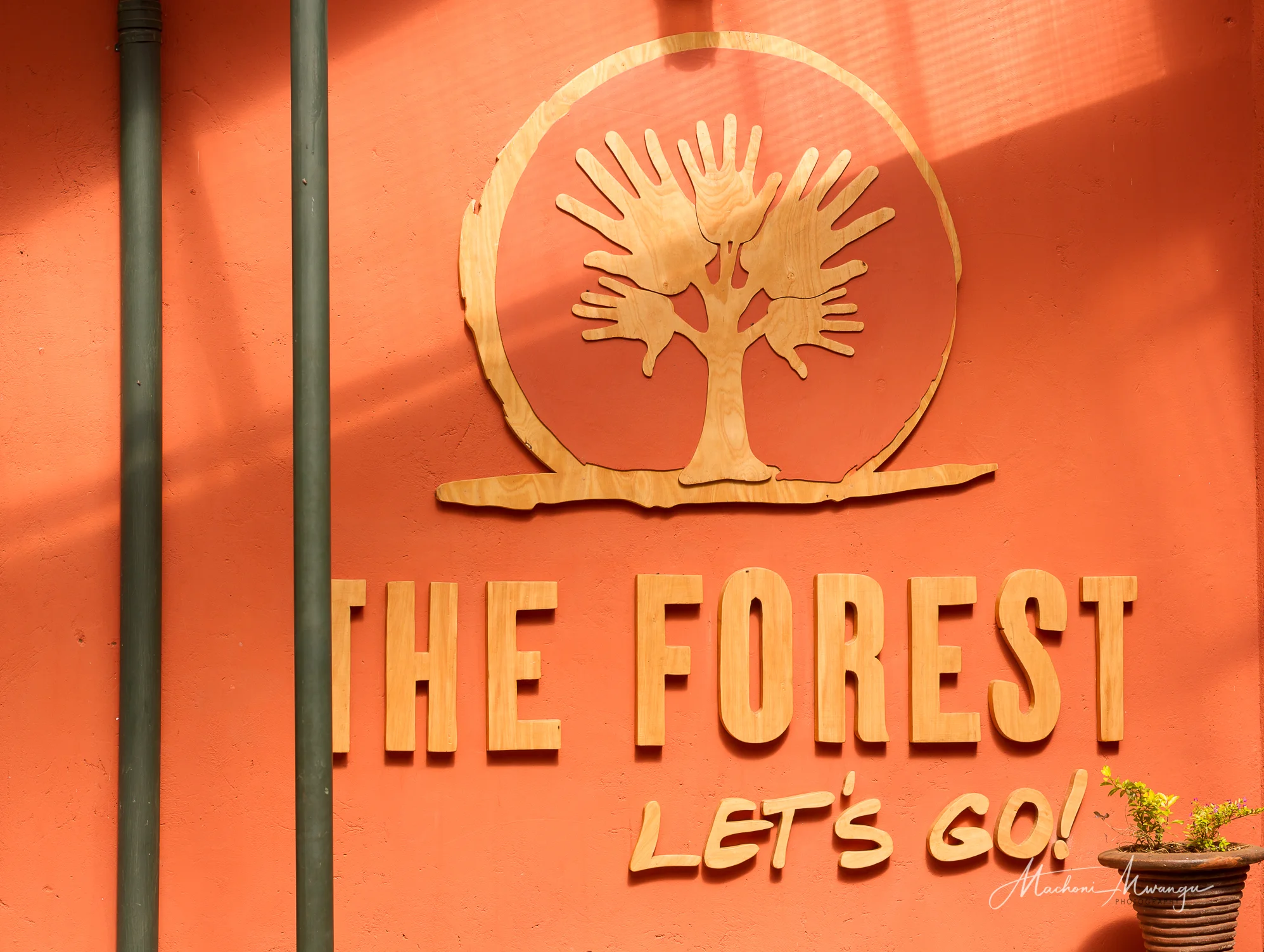 The Forest