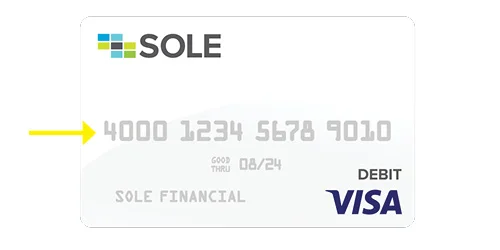 sole financial