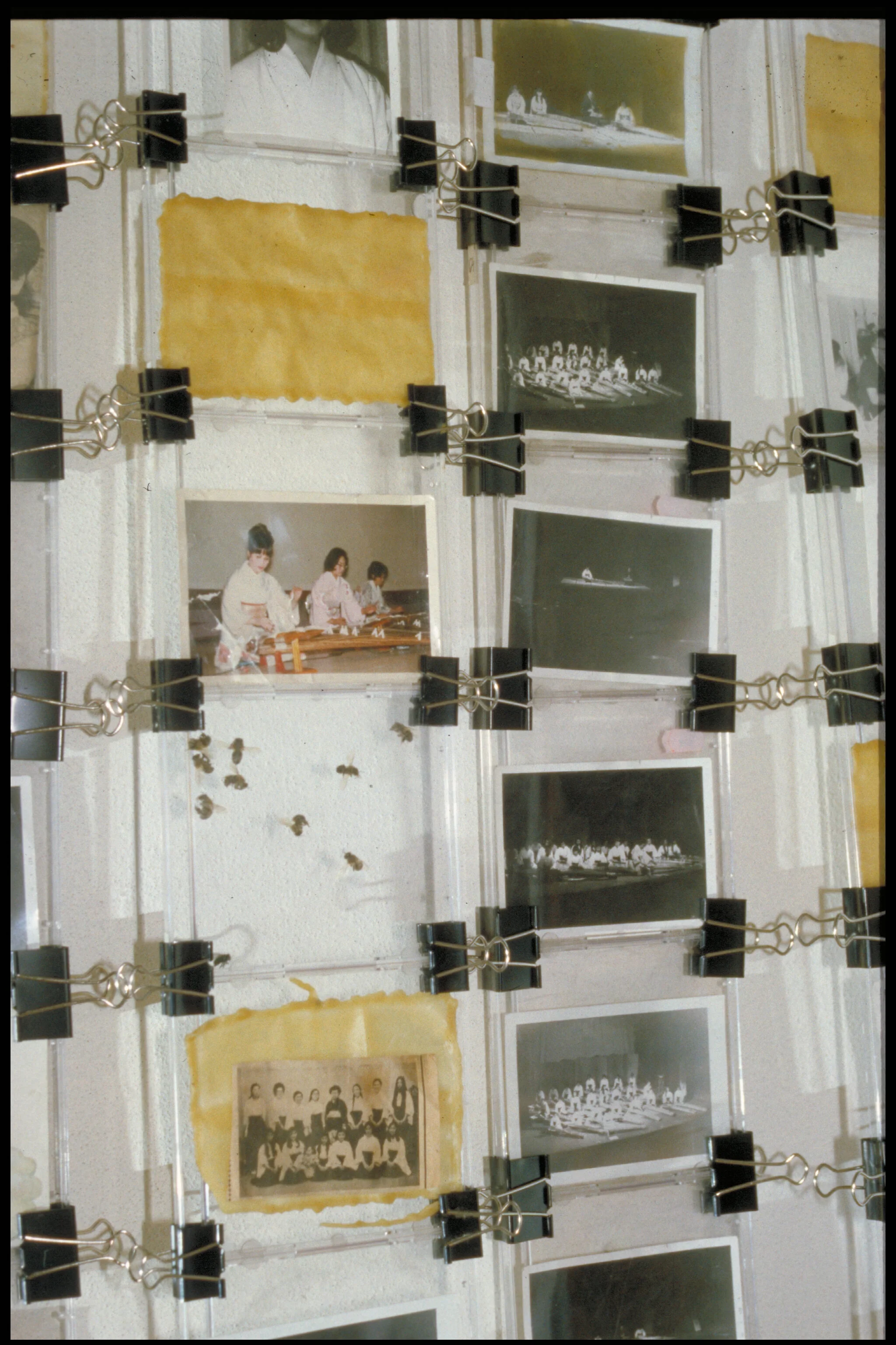koto detail.jpg