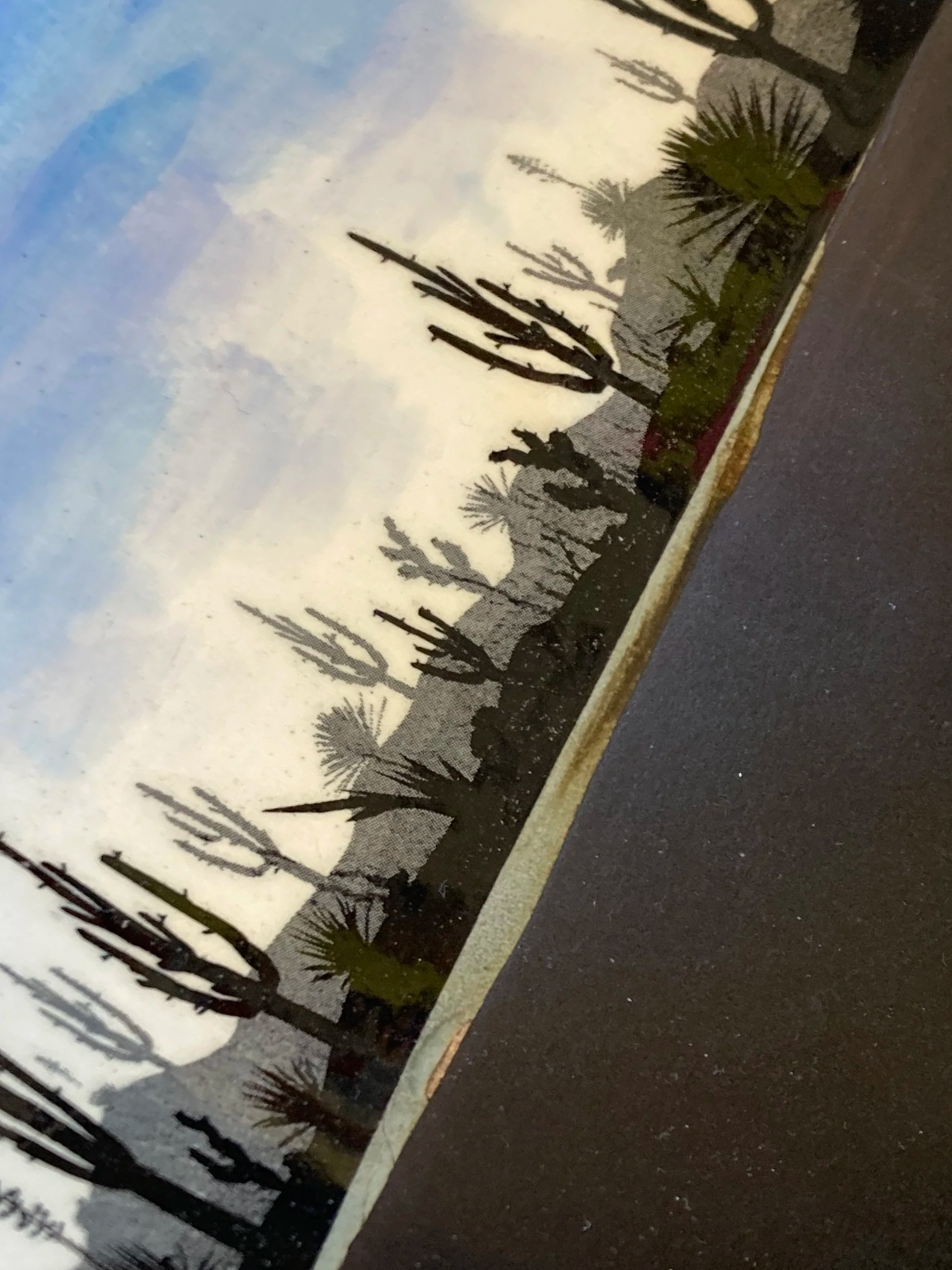 IMG_7651.png
