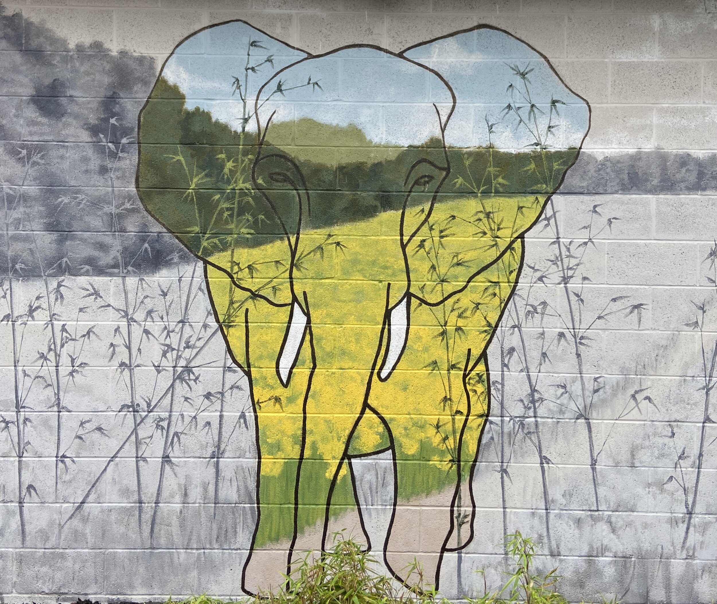 Elephant Sanctuary Mural