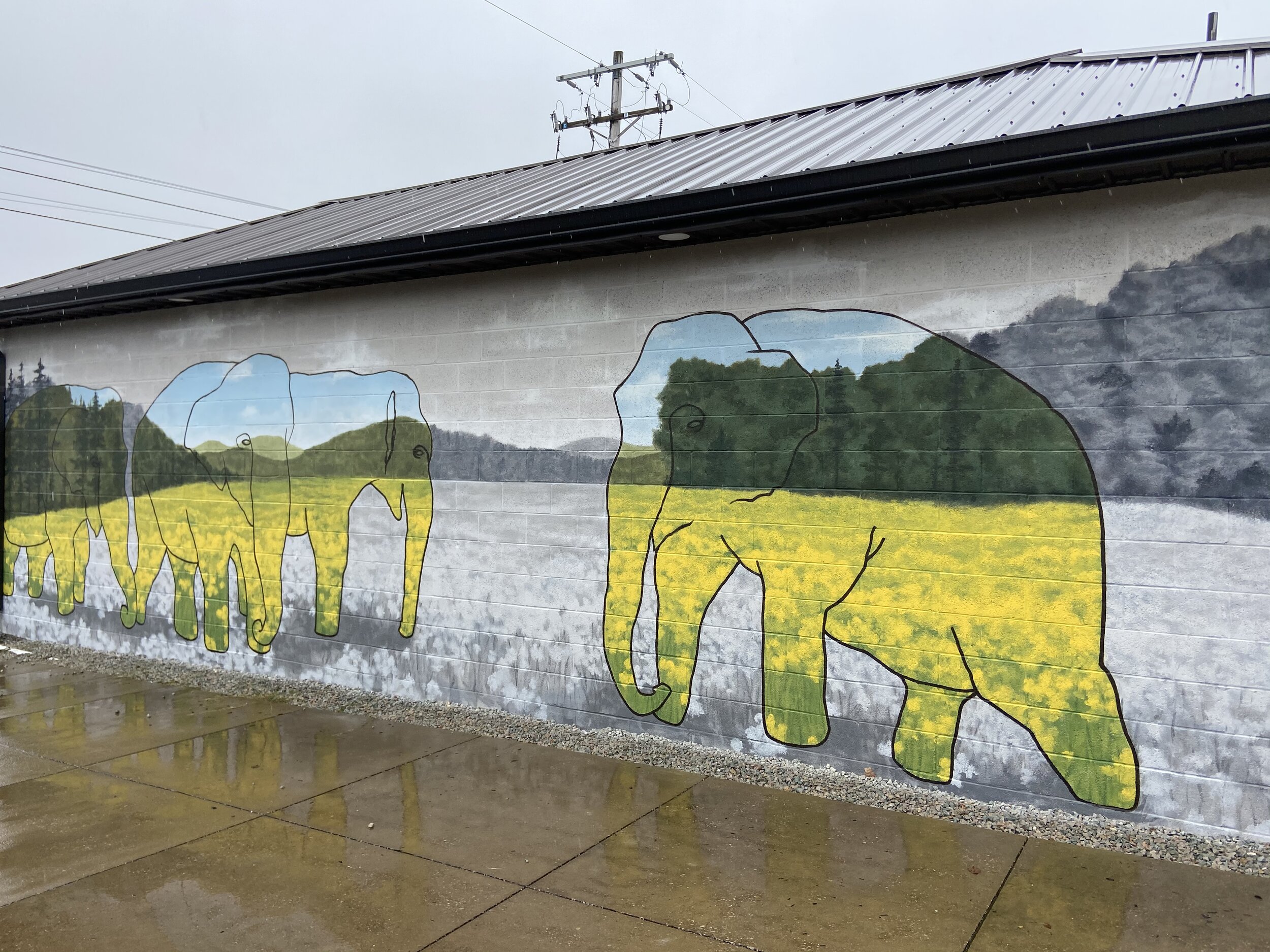 Elephant Sanctuary Mural