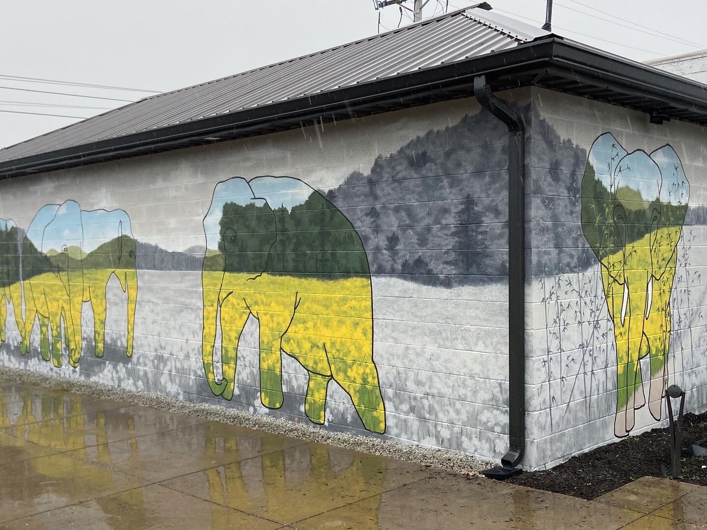 Elephant Sanctuary Mural