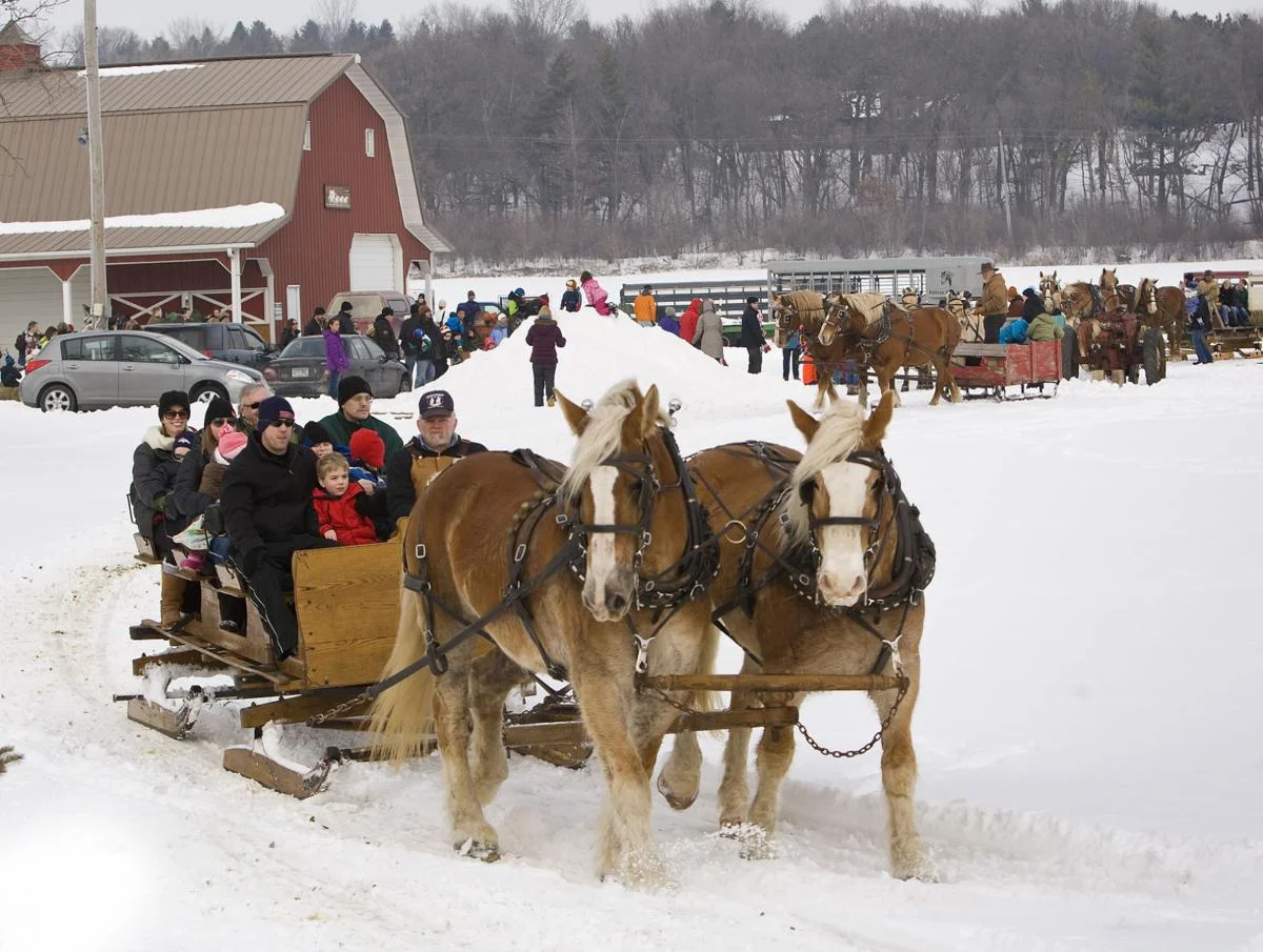 sleigh rides.jpg