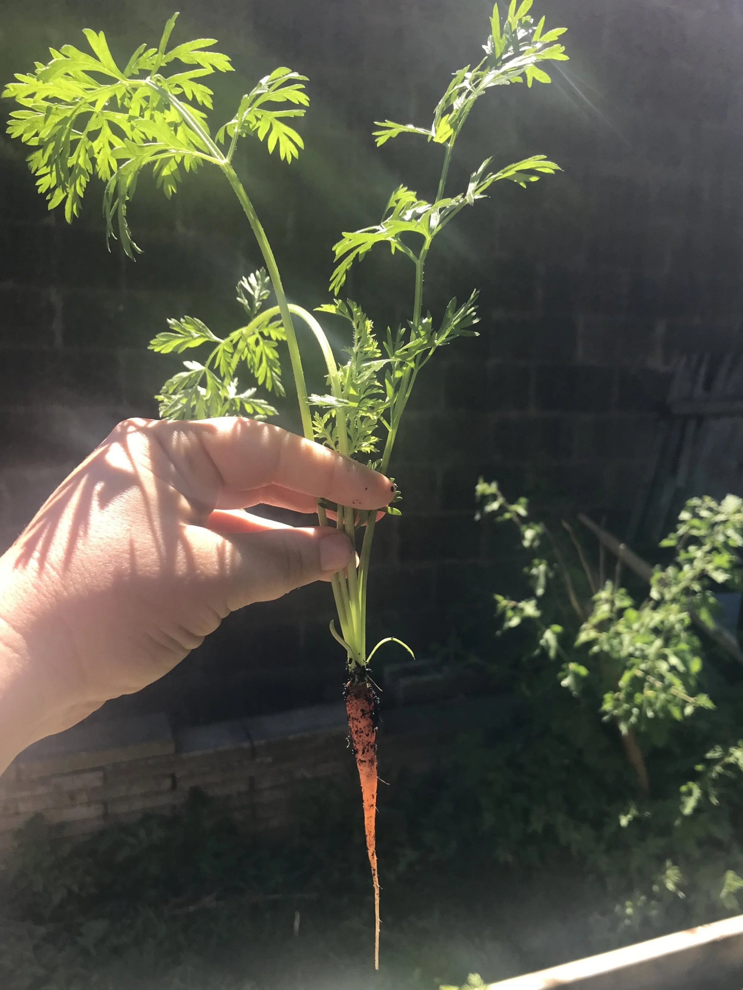 "We was like peas and carrots"